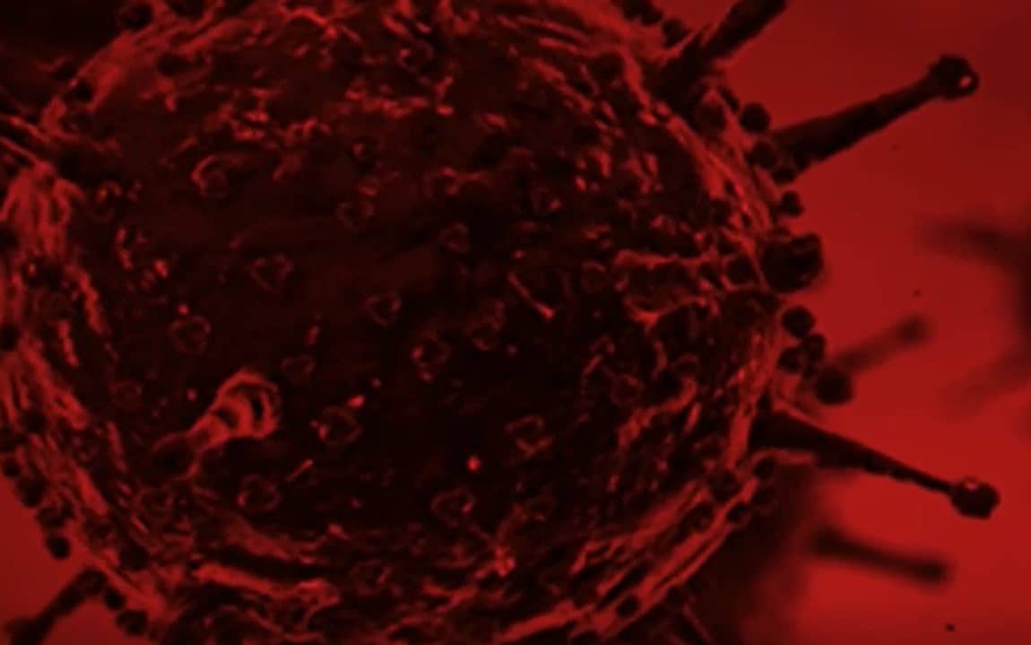 Grafika do artykułu Omicron - nowy wariant koronawirusa, który się uczy. Co robić? Naukowcy z PAN: Szczepić się!