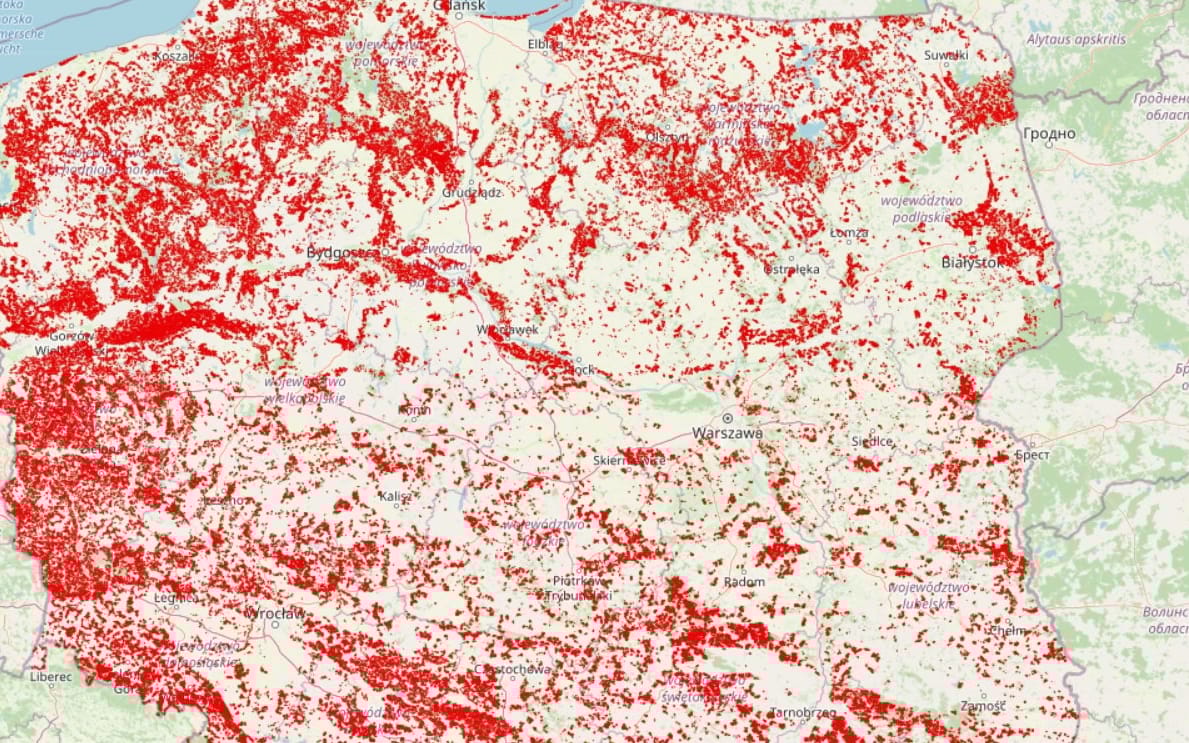 Grafika do artykułu Zobacz, czy Lasy Państwowe wytną twój las. Powstała społeczna mapa wycinek