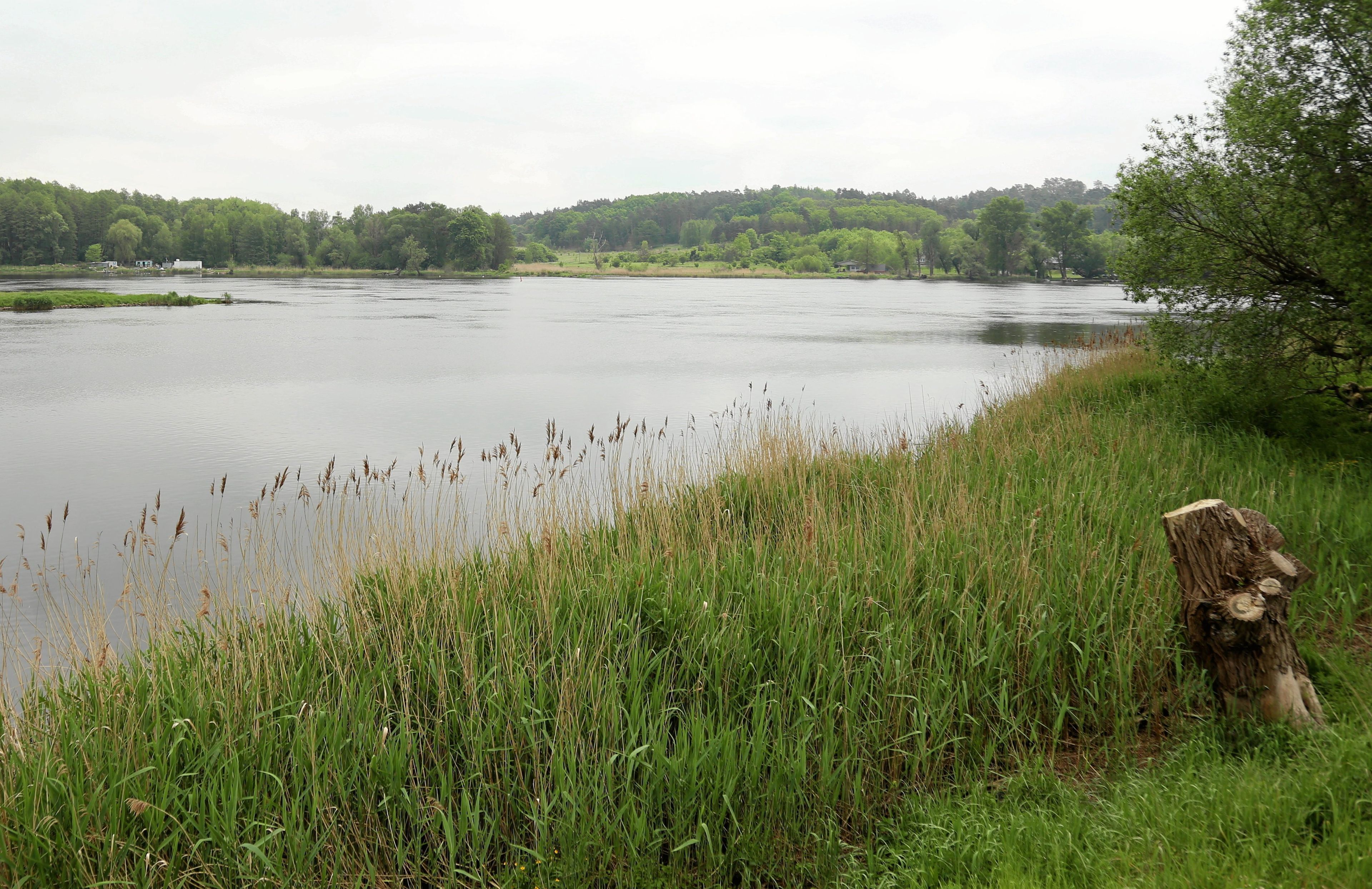 Odra w Widuchowej