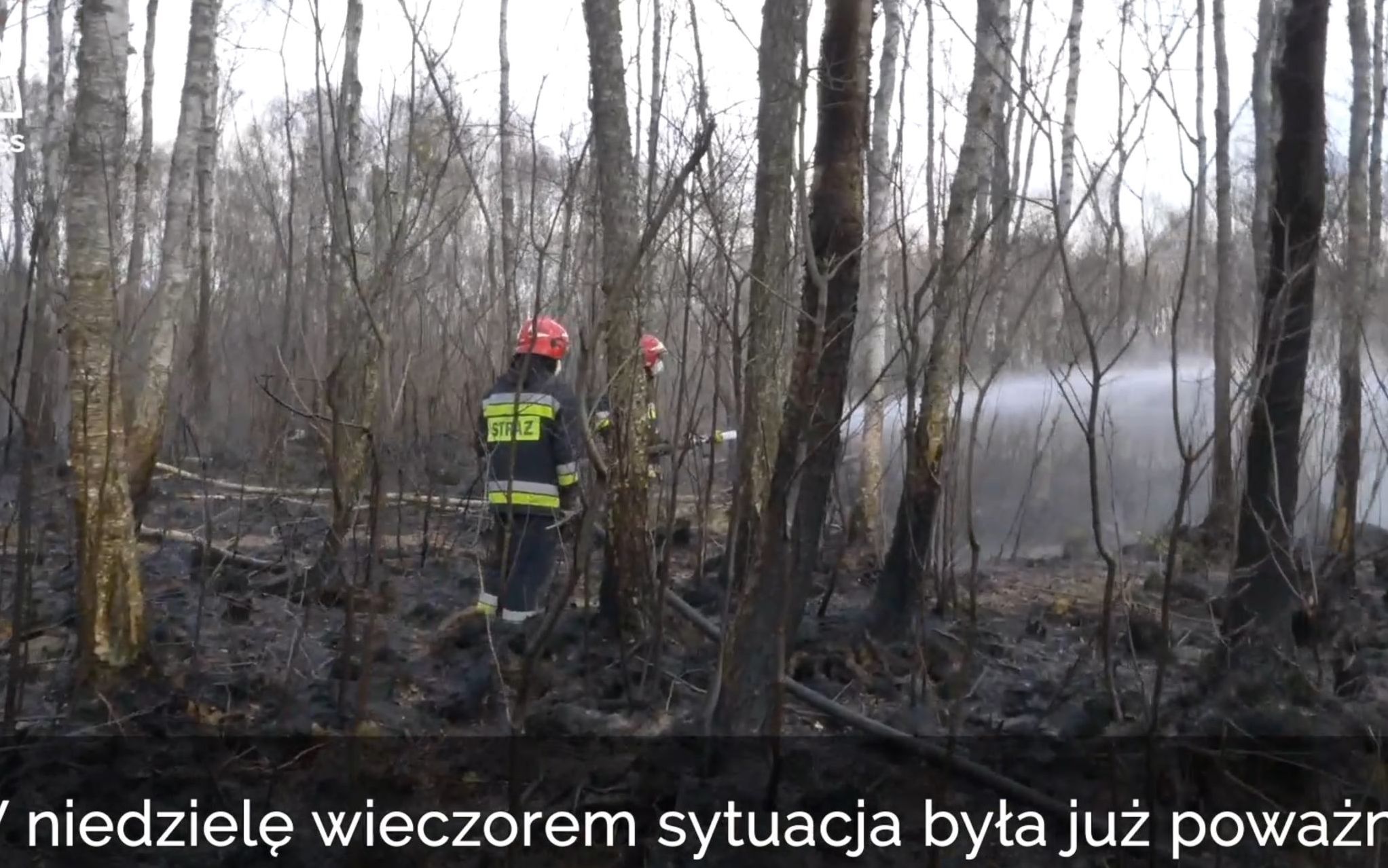 Grafika do artykułu Państwowa Straż Pożarna: pożar w Biebrzańskim Parku Narodowym opanowany