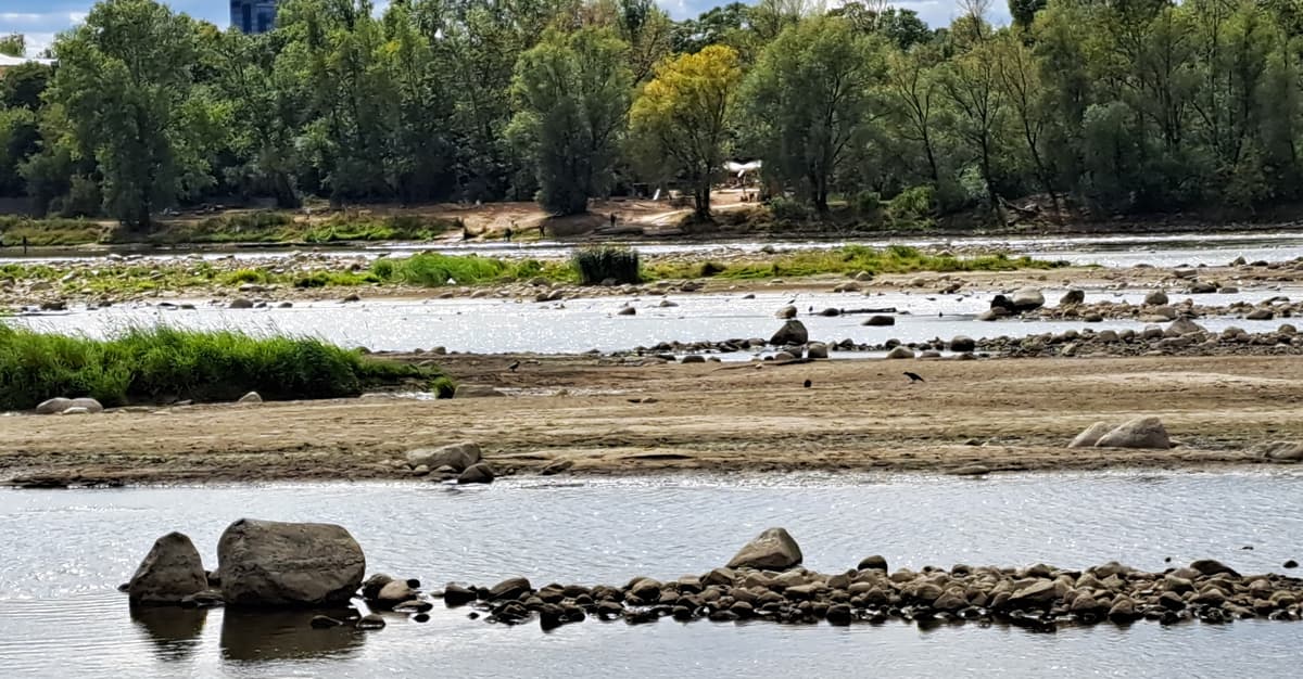 Wisła wysycha dalej: w Warszawie wody tyle, co w porządniejszej kałuży. A to jeszcze nie koniec
