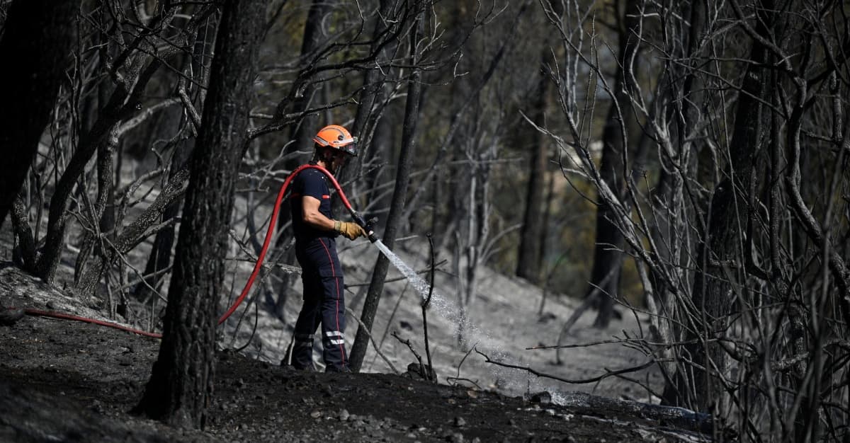 Potężne pożary we Francji i Hiszpanii, realizowane są ewakuacje
