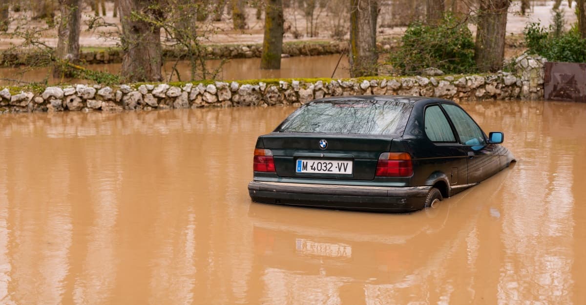 Epizod zimowy w Polsce i części Europy był wyjątkiem. Raport Copernicusa o lutym 2026 r.