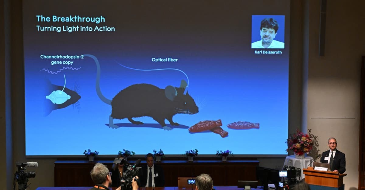 Neurony sterowane światłem. Nobel 2026 za optogenetykę