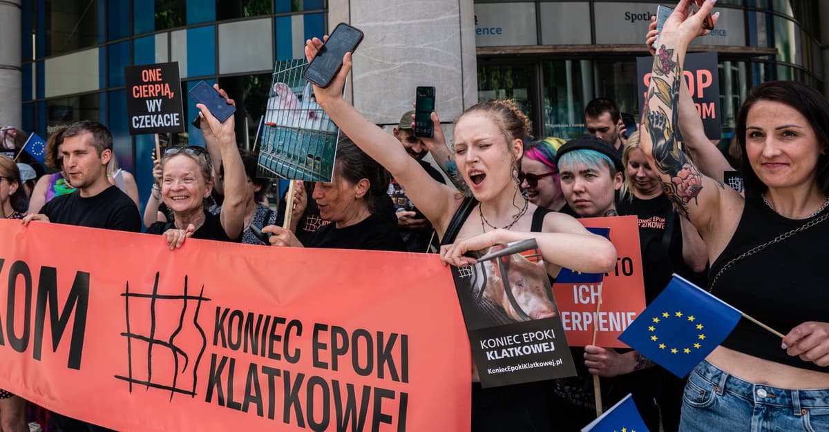 Domagają się końca epoki klatkowej. Będą protesty w całej Europie