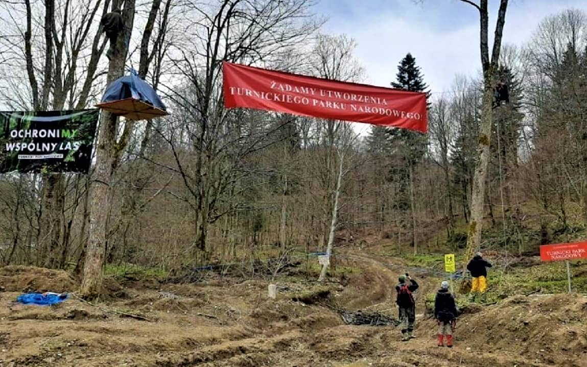 Grafika do artykułu Puszcza Karpacka: aktywiści zablokowali wycinkę w projektowanym Turnickim Parku Narodowym