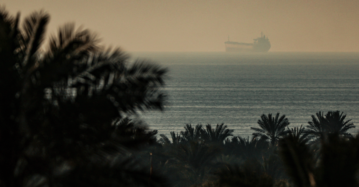 Tykająca bomba w Zatoce Perskiej. Jak wojna w Iranie zagraża zwierzętom i środowisku?