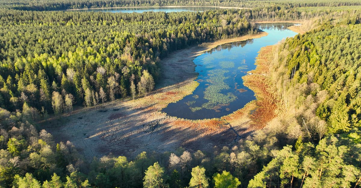 Alternatywa dla parków narodowych? Boom na rezerwaty po kilkunastu latach zastoju