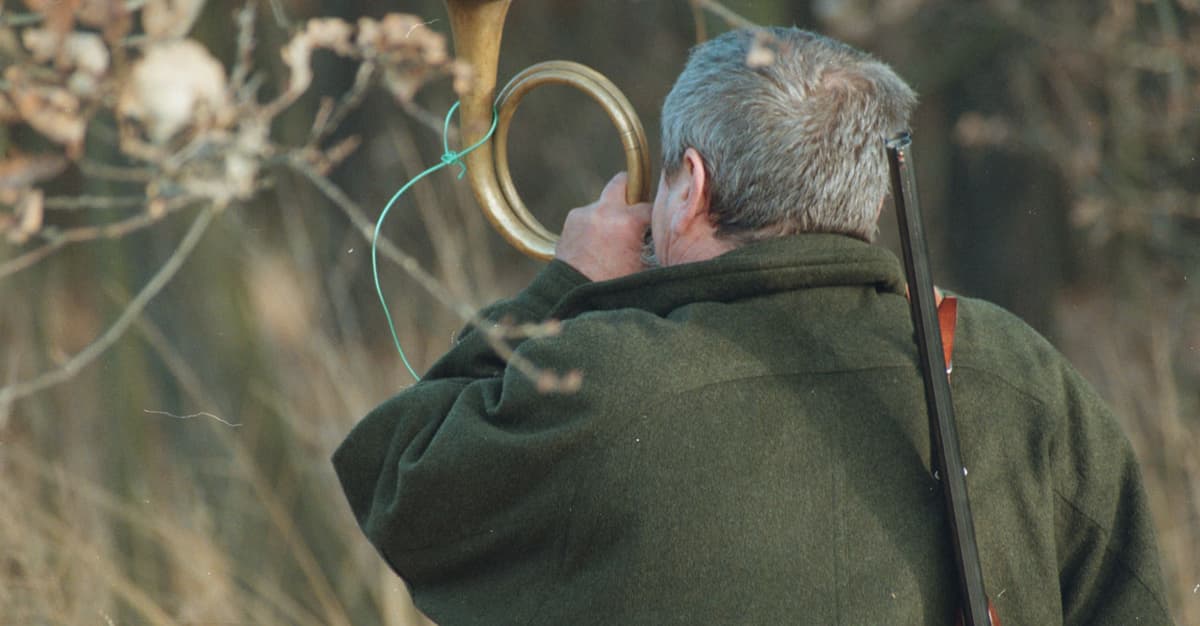 Panie pośle, czy pan poluje? Pytamy w Sejmie, kto jest myśliwym