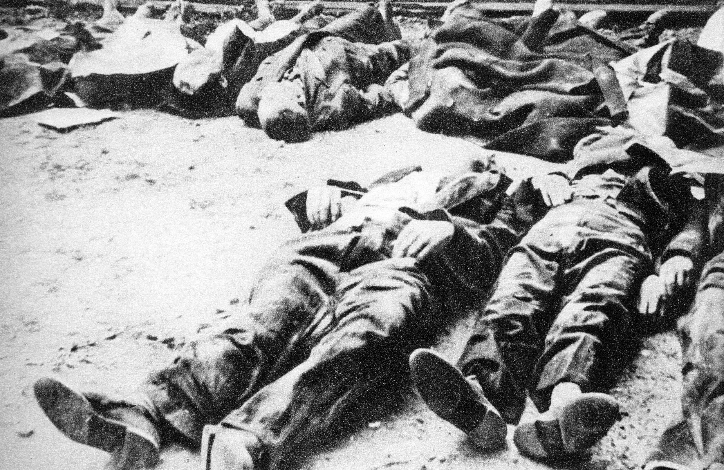 Zdjęcie przedstawia ciała pomordowanych mieszkańców Warszawy