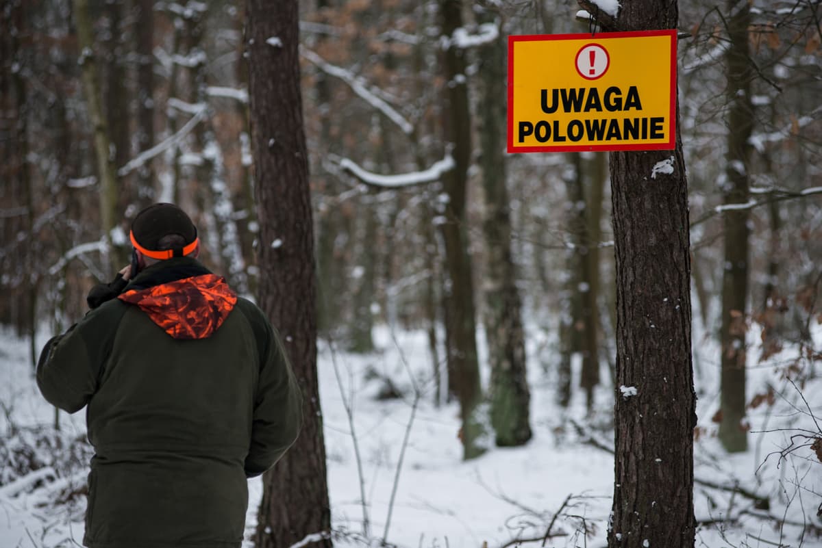 Setki myśliwych polowało mimo braku zdanego egzaminu. Ustalenia „Gazety Wyborczej”