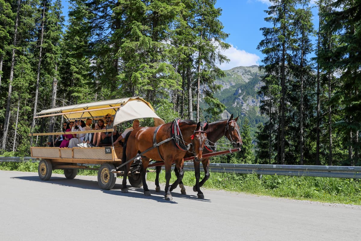Konie zostają na trasie do Morskiego Oka? Ministerstwo odpowiada