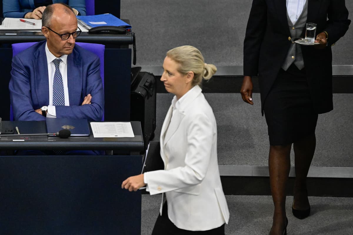 Reemigracja według AfD. Kto ma prawo zostać w Niemczech?