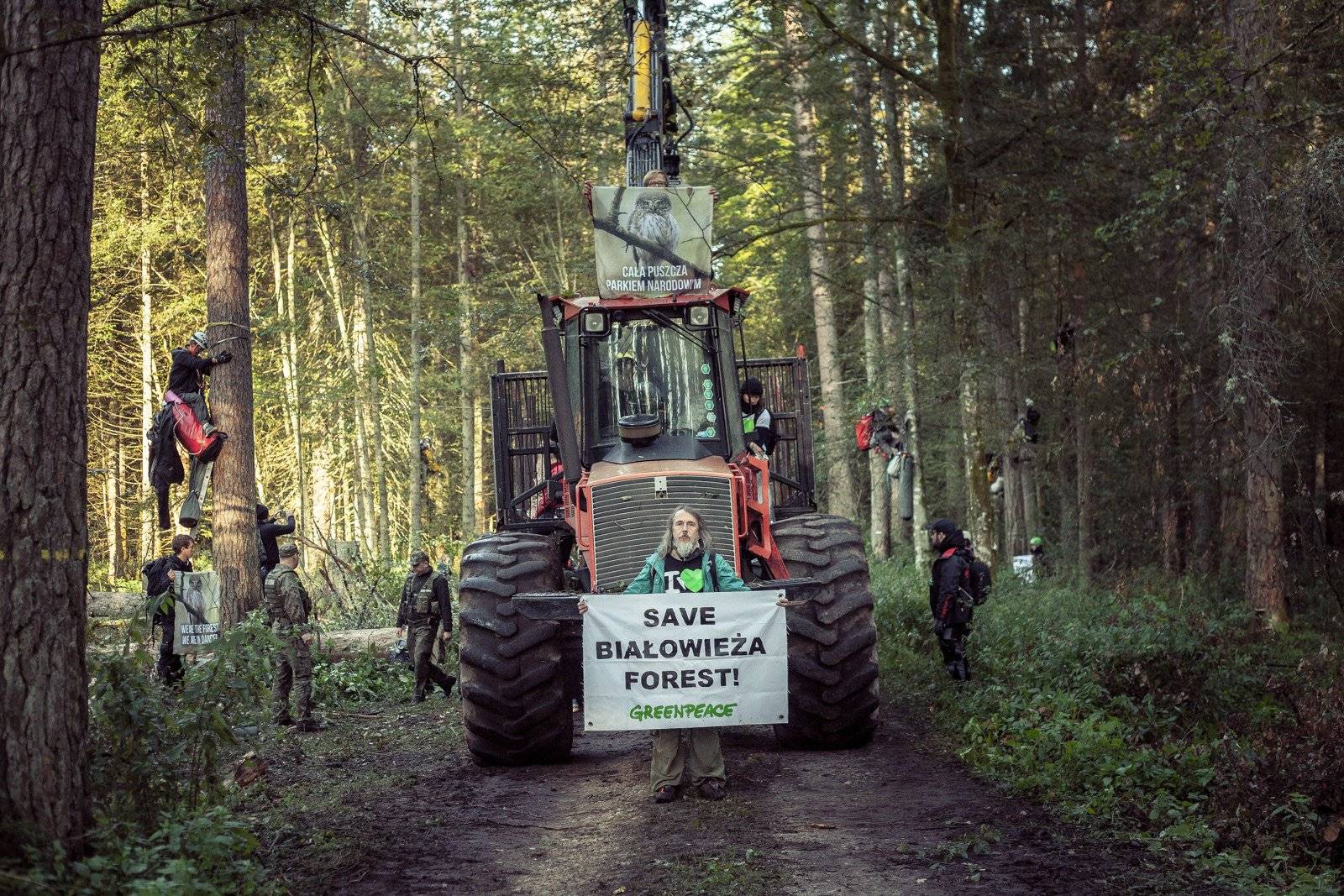 Na leśnej drodze stoi harvester - maszyny do wycinania drzew. Przed maszyną stoi mężczyzna z plakatem Save Białowieża Forest. Na Do okolicznych drzew są przypięci linami aktywiści. Obok stoi strażnik leśny