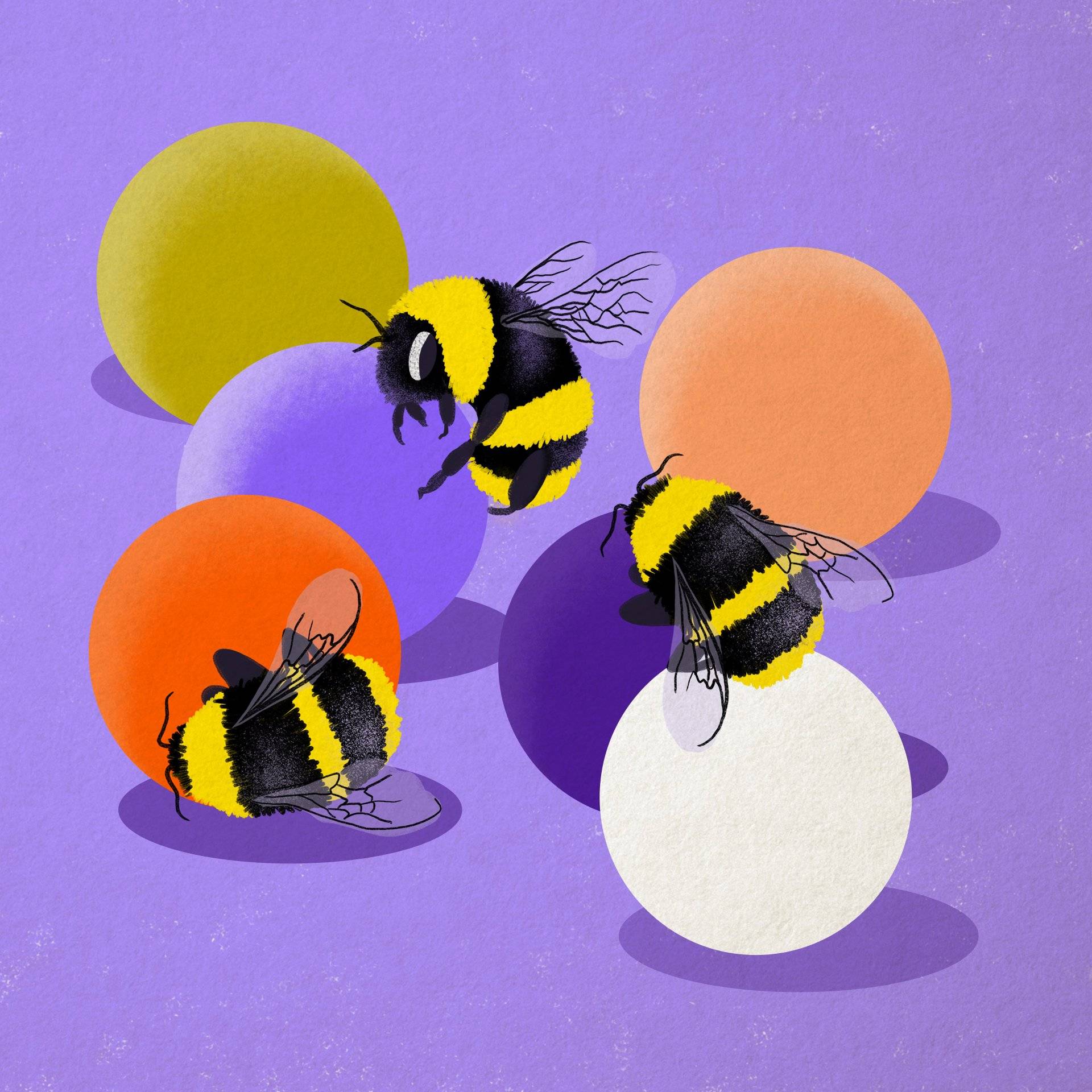 Rysunek kilku kolorowych pszczół
