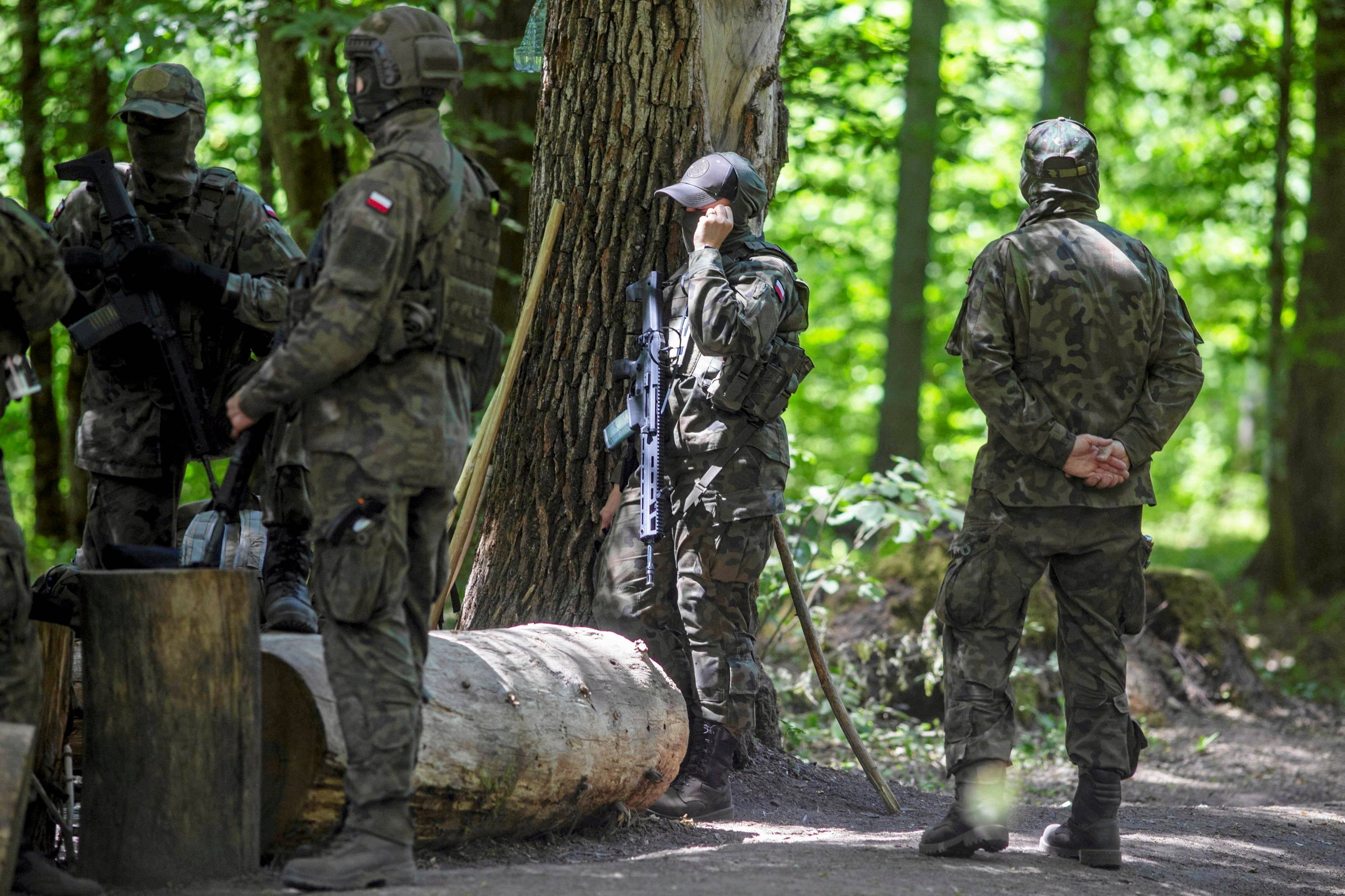 Kilka osób w mundurach z bronią w lesie