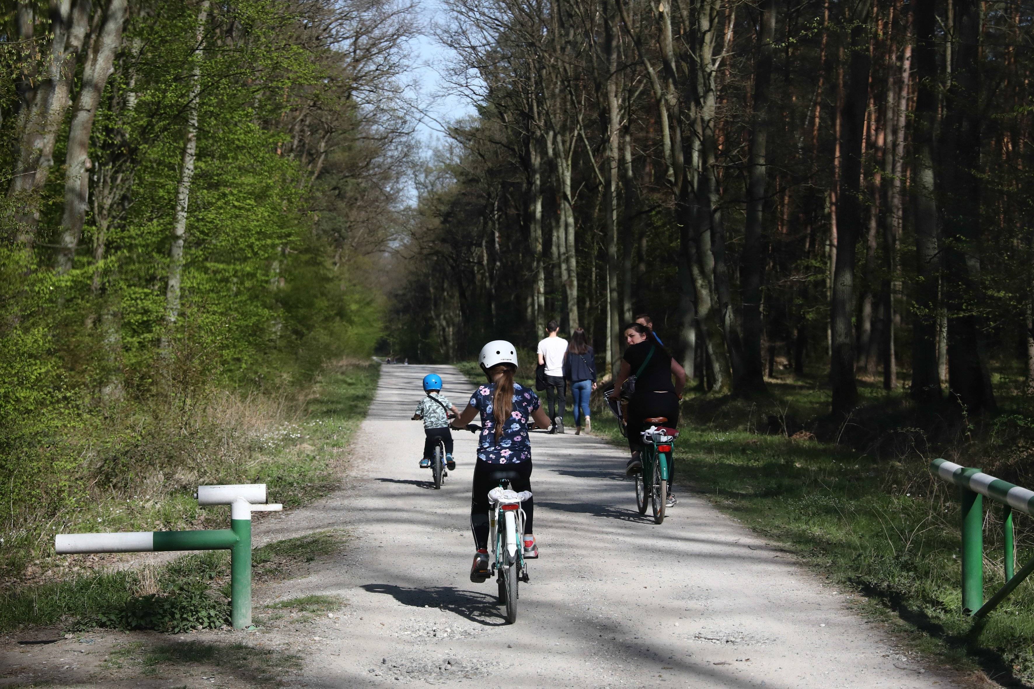 rodzina wjeżdża na rowerach do Puszczy Niepołomickiej