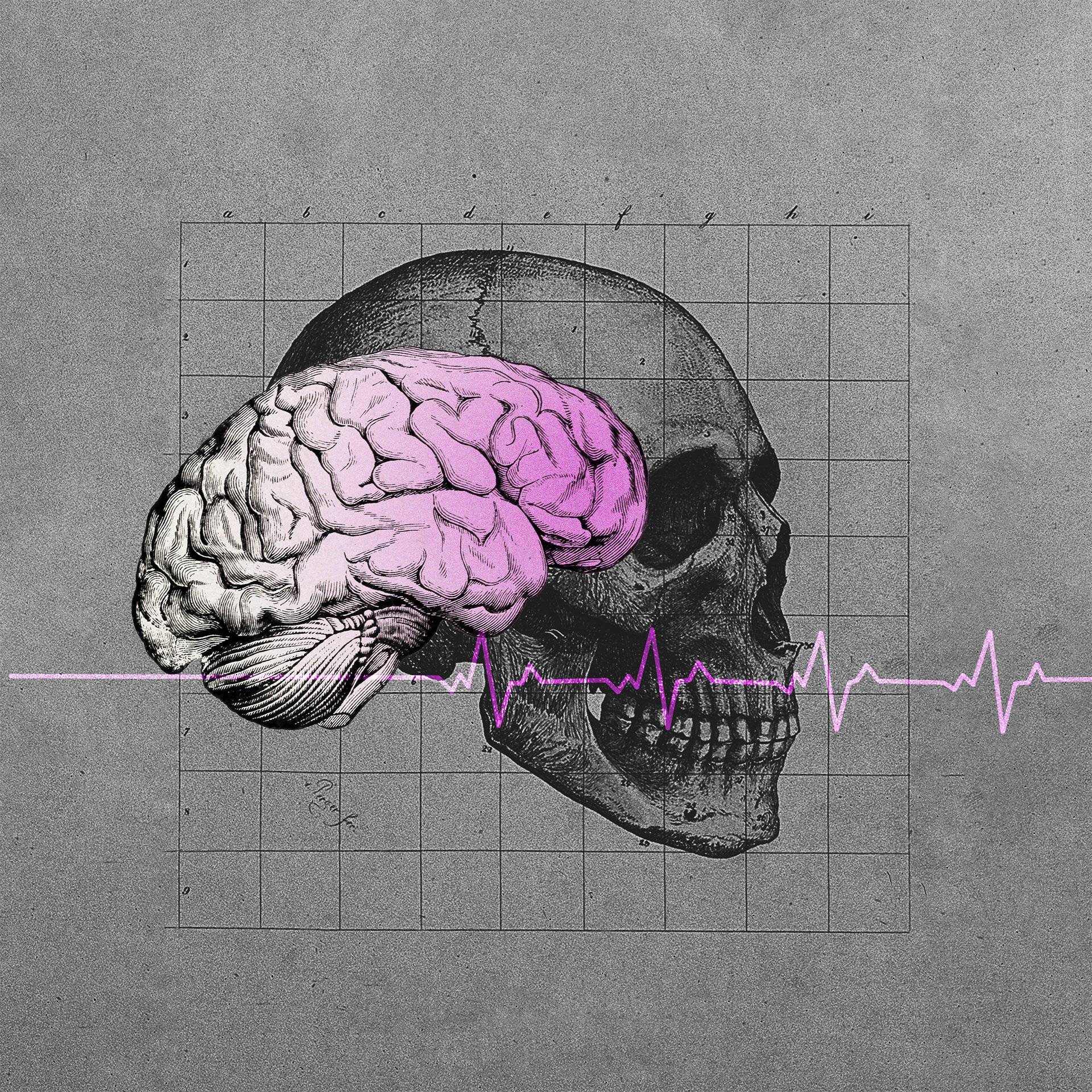 Rycina przedstawiająca mózg, wybarwiony na różowo. W tle czarno-biały rysunek anatomiczny ludzkiej czaszki i różowa linia przedstawiająca wykres biacia serca