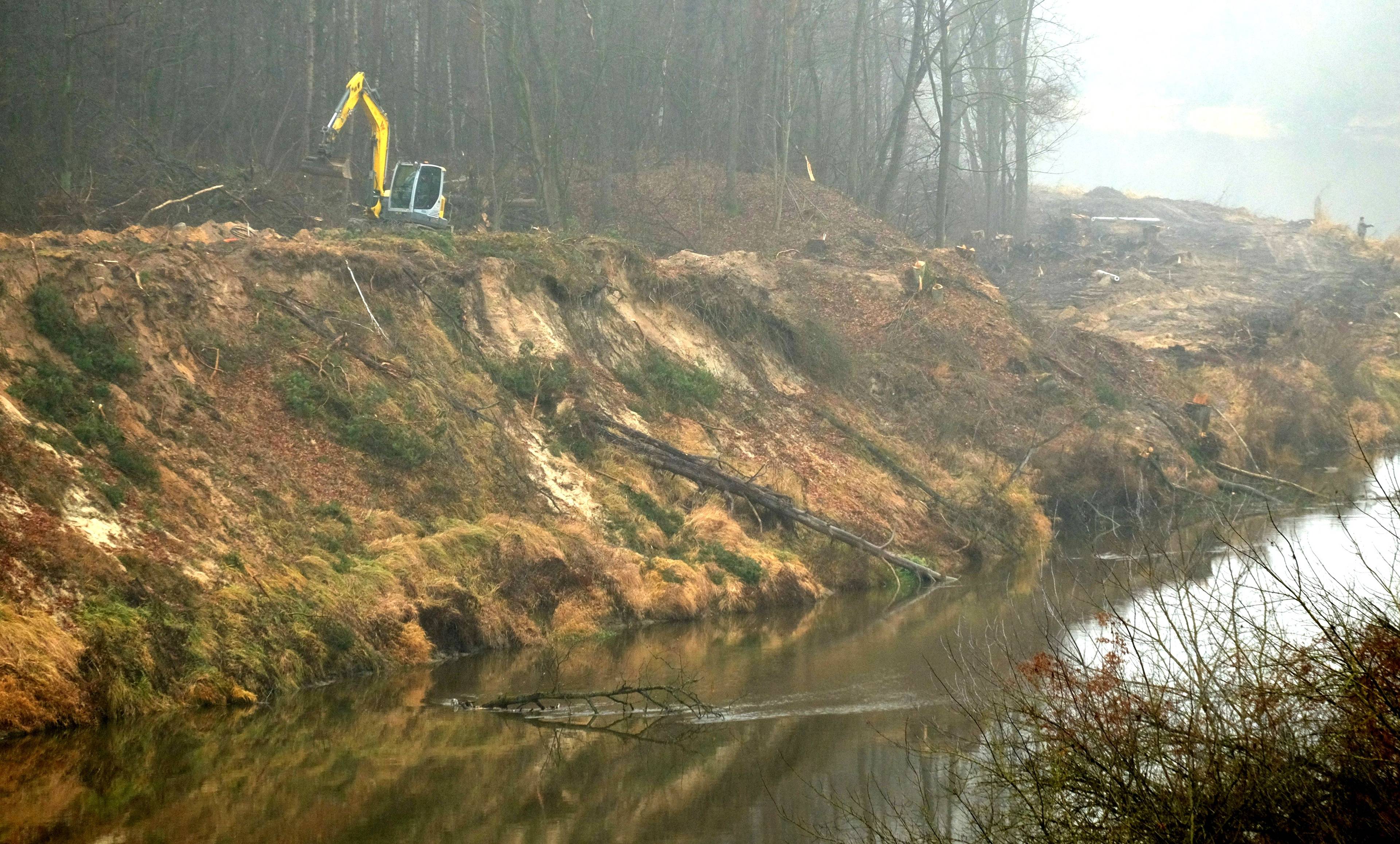 Dewastacja dzikiego brzegu Bugu. Skarpa z wyciętami drzewami, na szczycie stoi koparka