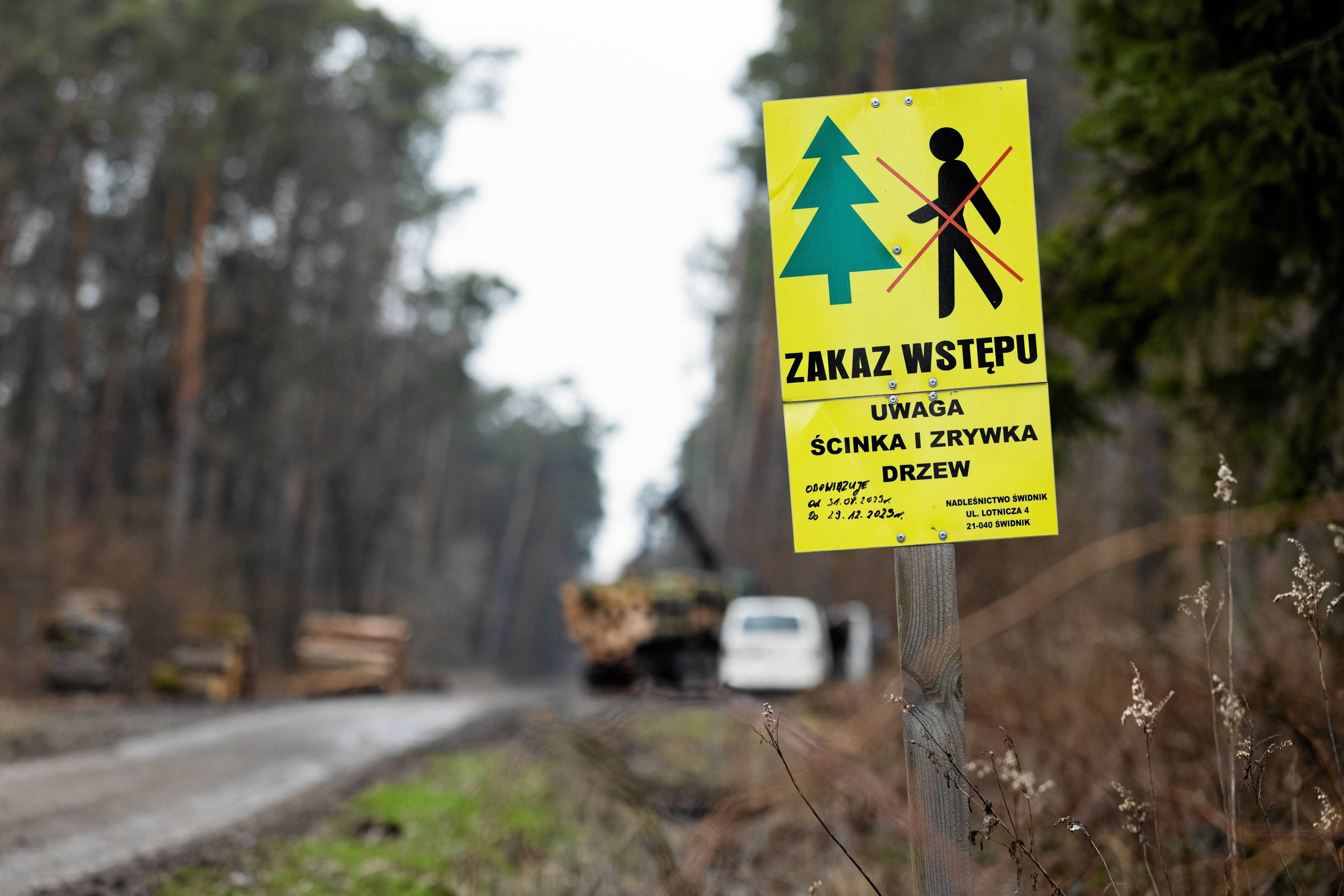 Postawiony na skraju lasu znak o zakazie wstępu do lasu z powodu wycinki drzew