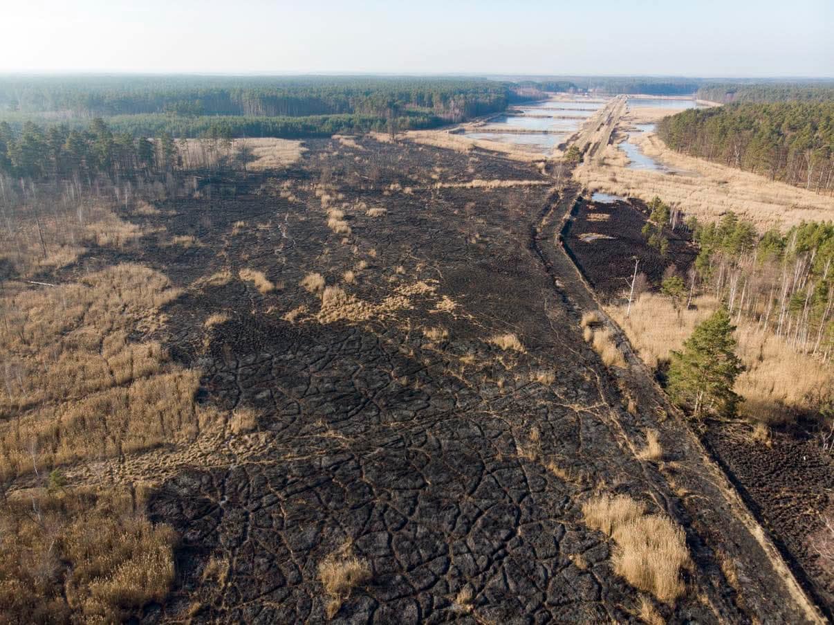 spalony teren, widok z lotu ptaka