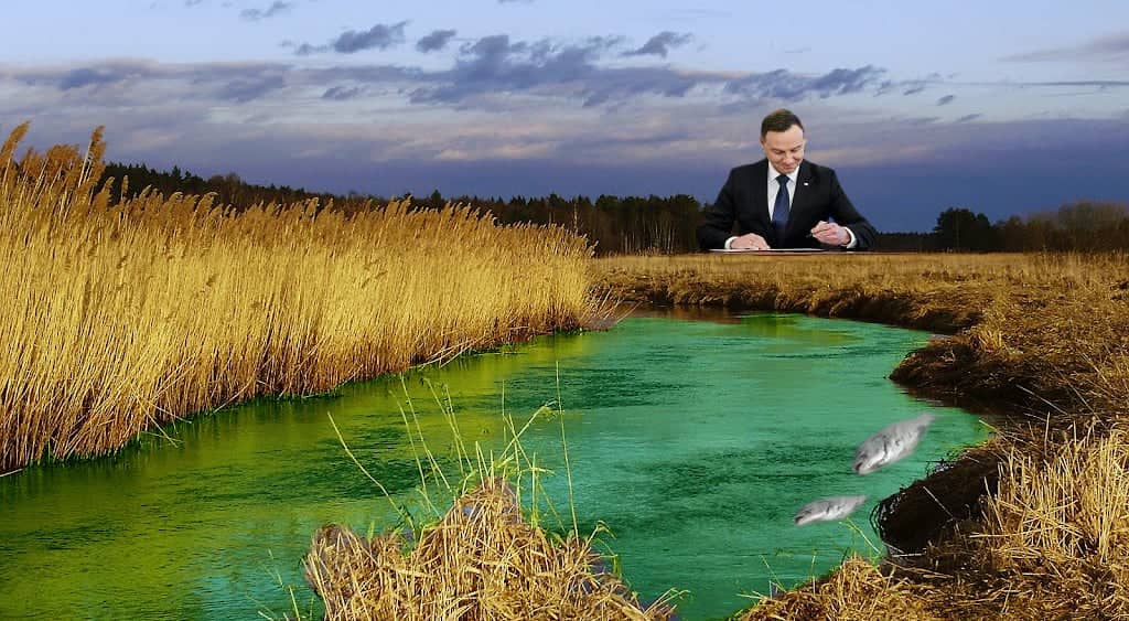 Grafika do artykułu Polsce grozi gigantyczna katastrofa ekologiczna. Prezydent podpisał wyrok na polskie rzeki