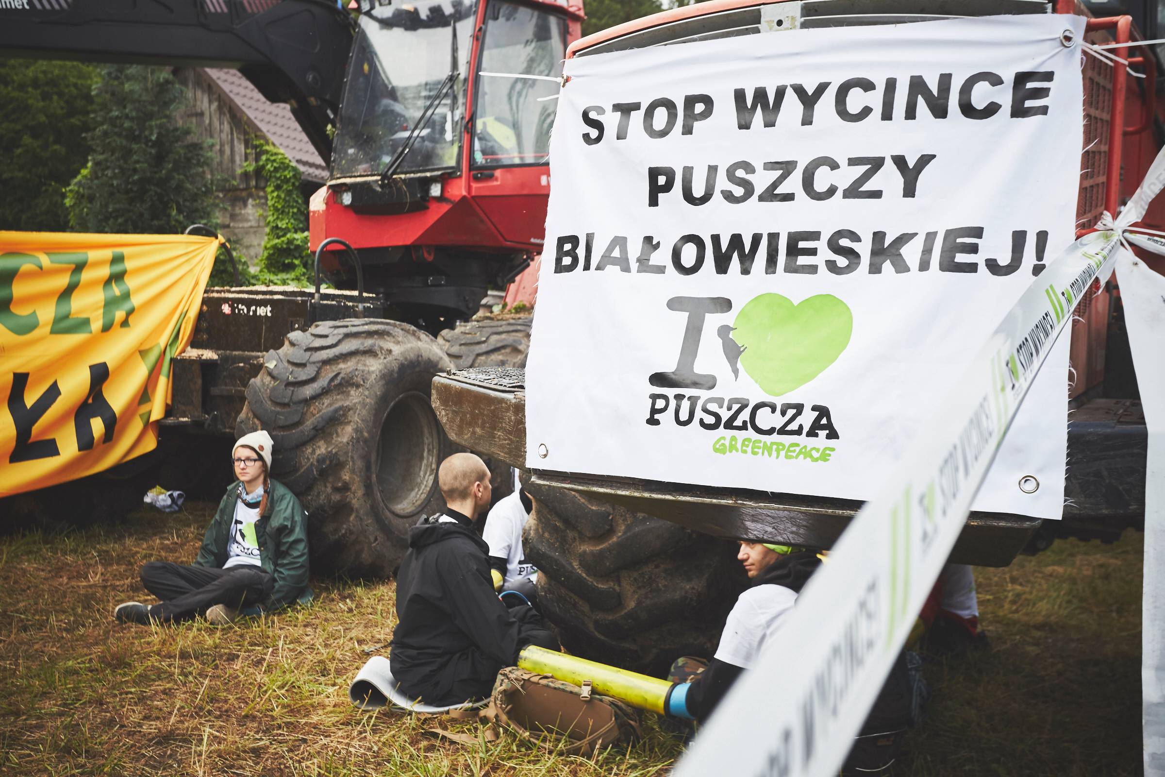 Grafika do artykułu Trwa IV blokada w Puszczy Białowieskiej. Aktywiści nie pozwalają na wyjazd maszyn do wycinki