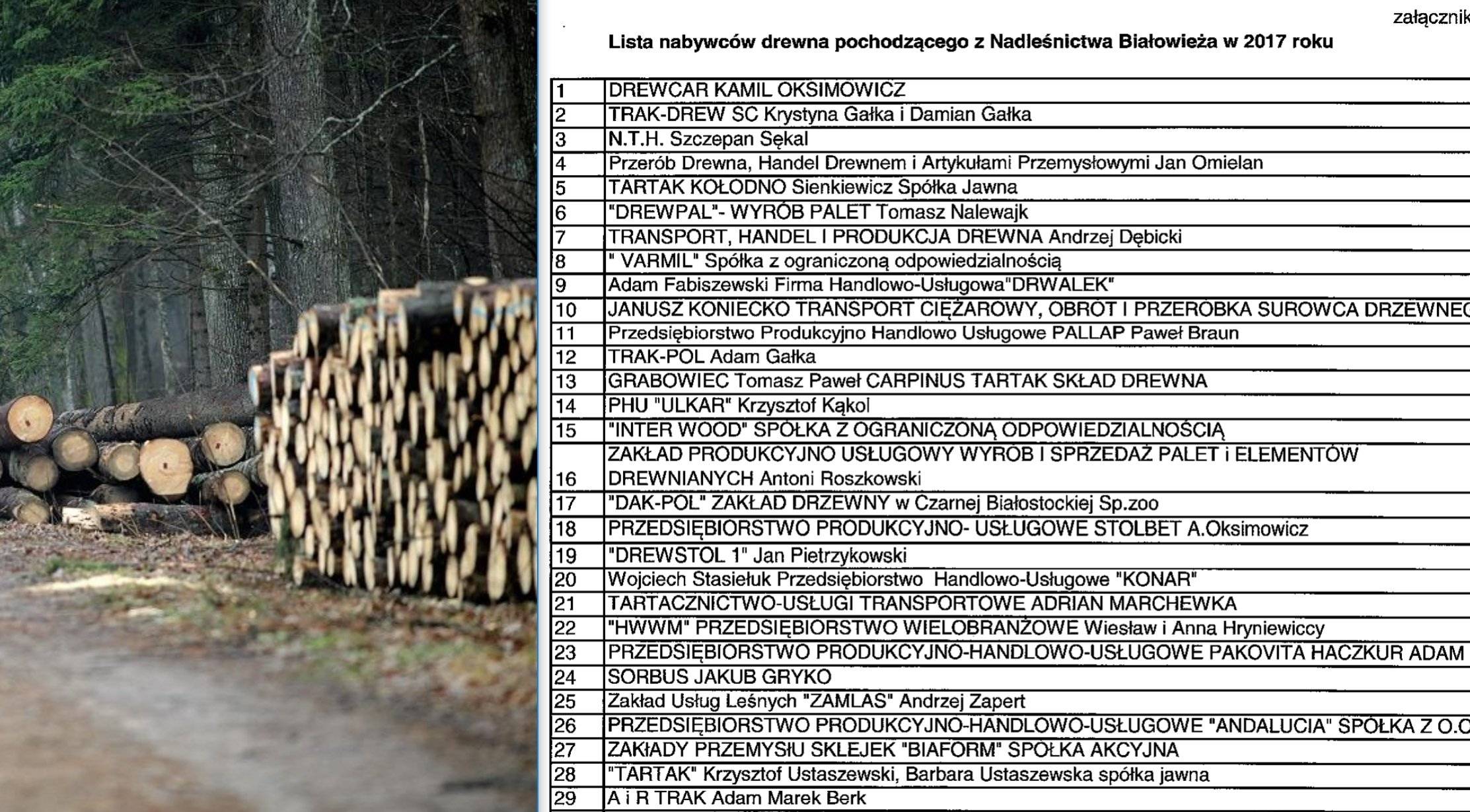 Grafika do artykułu Mamy listę odbiorców drewna z nadleśnictwa w Puszczy Białowieskiej! Publikujemy interaktywną mapę