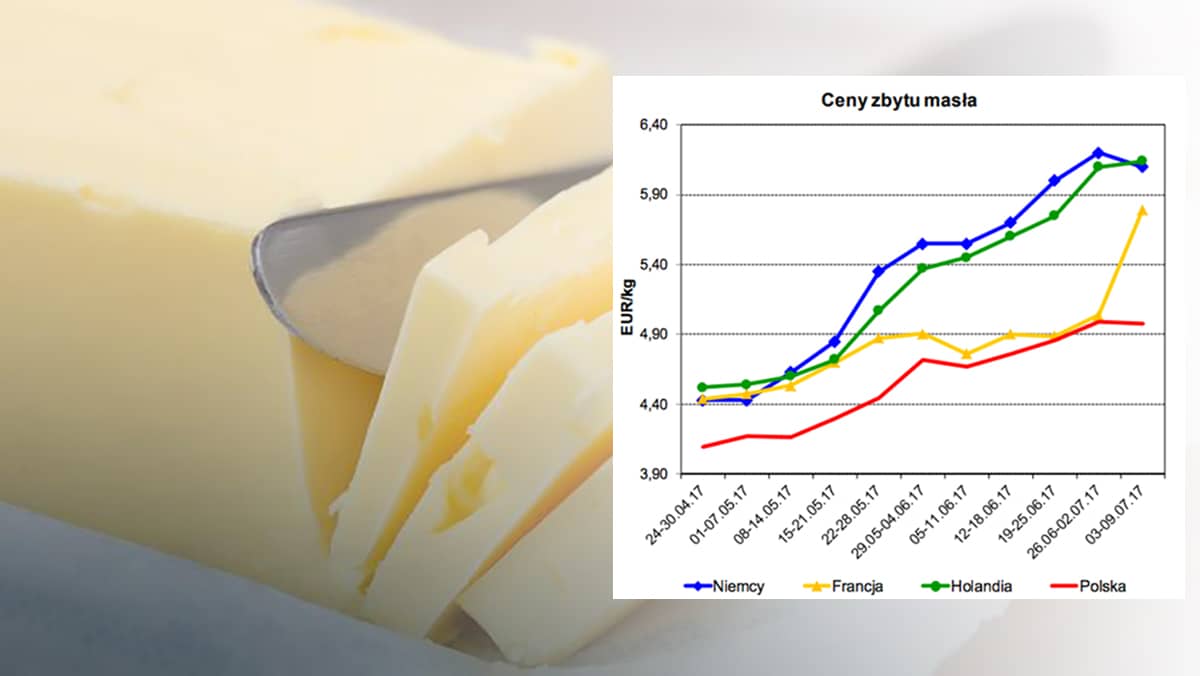 Grafika do artykułu Unia winduje ceny masła. Morawiecki zadba o inne podwyżki