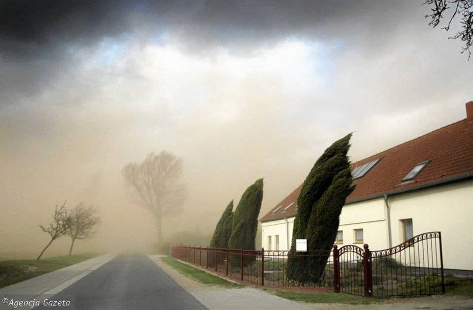Grafika do artykułu Klęska w Puszczy Piskiej, orkan Cyryl i tornado pod Częstochową. Era wielkich wichur dopiero się zaczyna