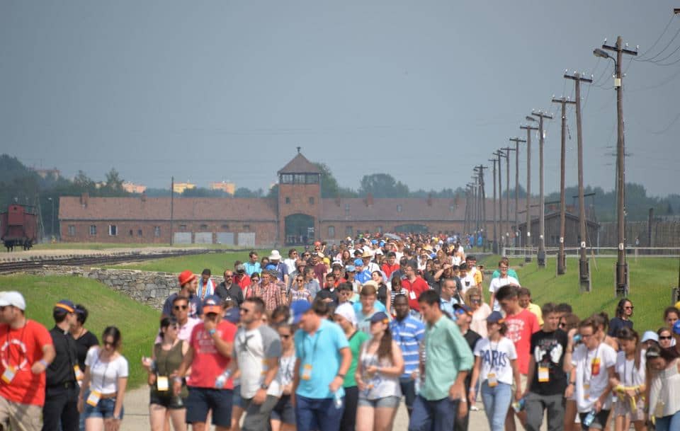 Grafika do artykułu Prof. Leociak o wyłączeniu Auschwitz i POLIN z oferty turystycznej: To symbol mentalnej patologii, która rozlewa się po Polsce