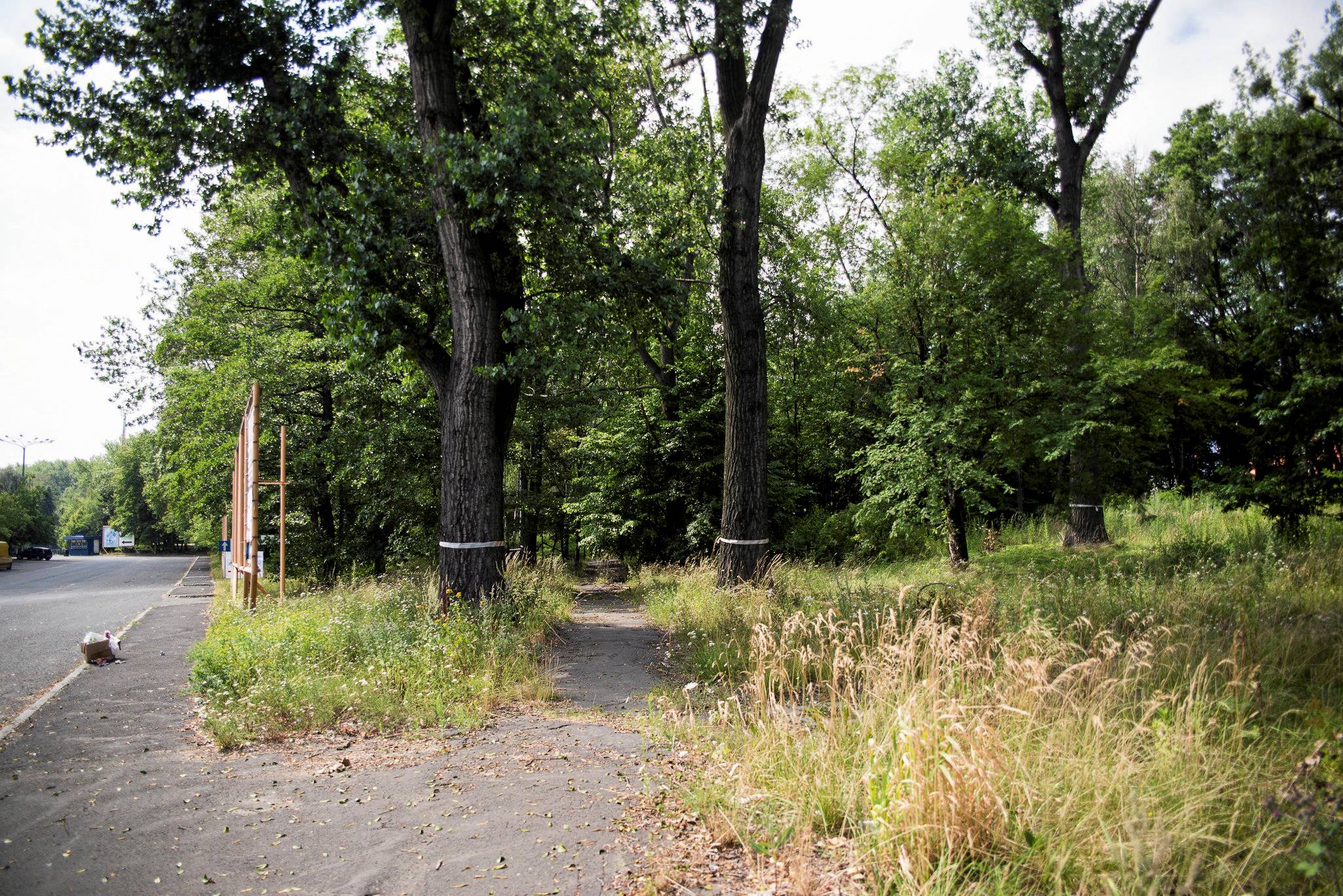 16.07.2019 Chorzow , ulica Targowa . Dzialka w sasiedztwie Parku Slaskiego , na ktorej Green Park Silesia planuje wybudowac pawilony handlowe .
Fot. Kamila Kotusz  / Agencja Gazeta *** Local Caption ***