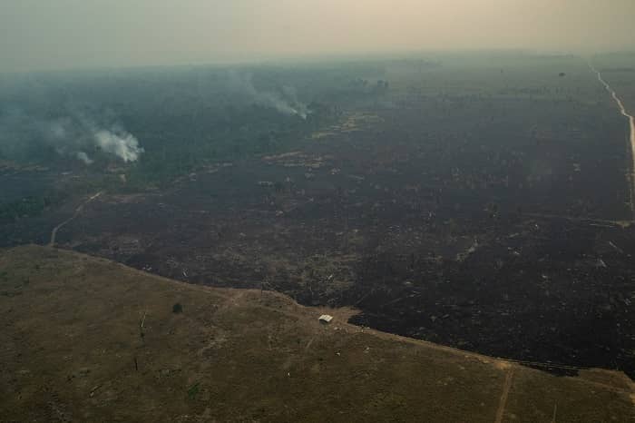 PORTO VELHO, RONDÔNIA, BRAZIL. Aerial view of burned areas in the Amazon rainforest, in the city of Porto Velho, Rondônia state. (Photo: Victor Moriyama / Greenpeace)
PORTO VELHO, RONDÔNIA, BRASIL. Vista aérea de áreas queimadas e focos de incêndio na Amazônia, na cidade de Porto Velho, Rondônia. (Photo: Victor Moriyama / Greenpeace)