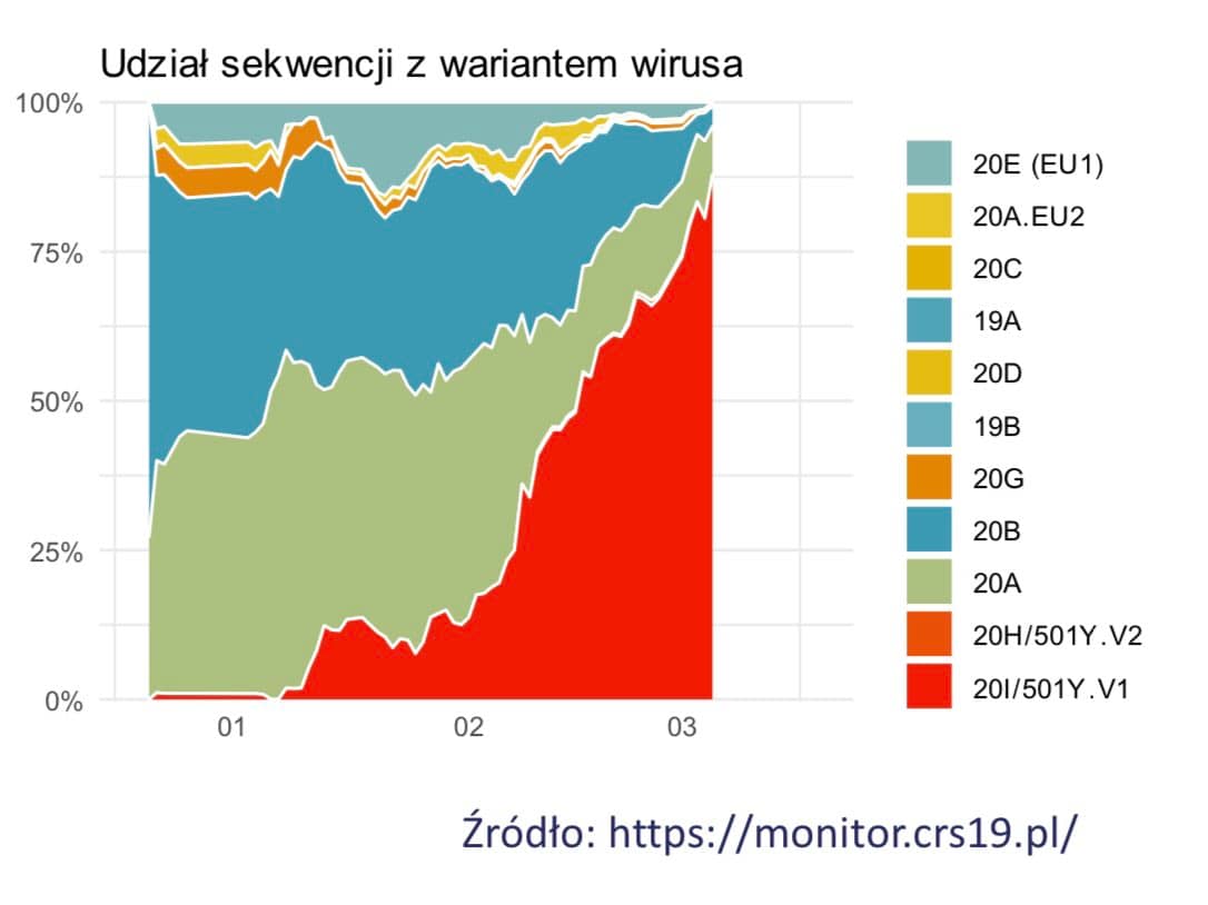 udział wariantu brytyjskiego