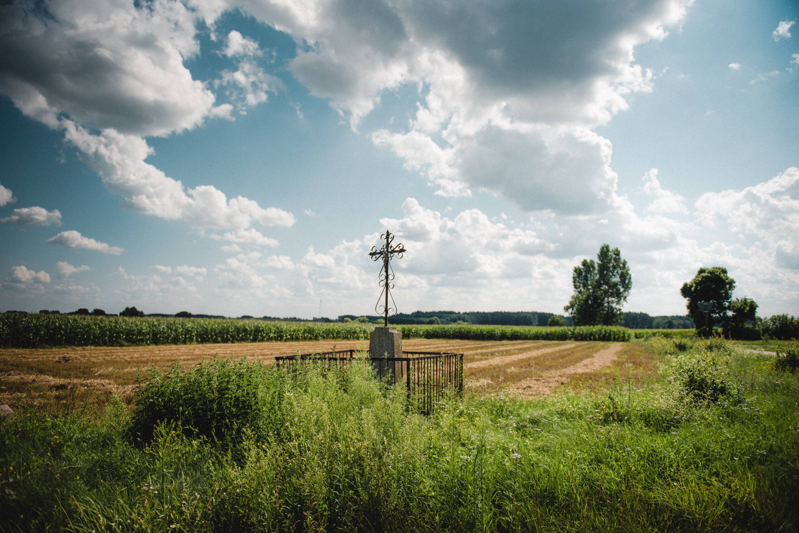 fot. Mikołaj Maluchnik/ OKO.press