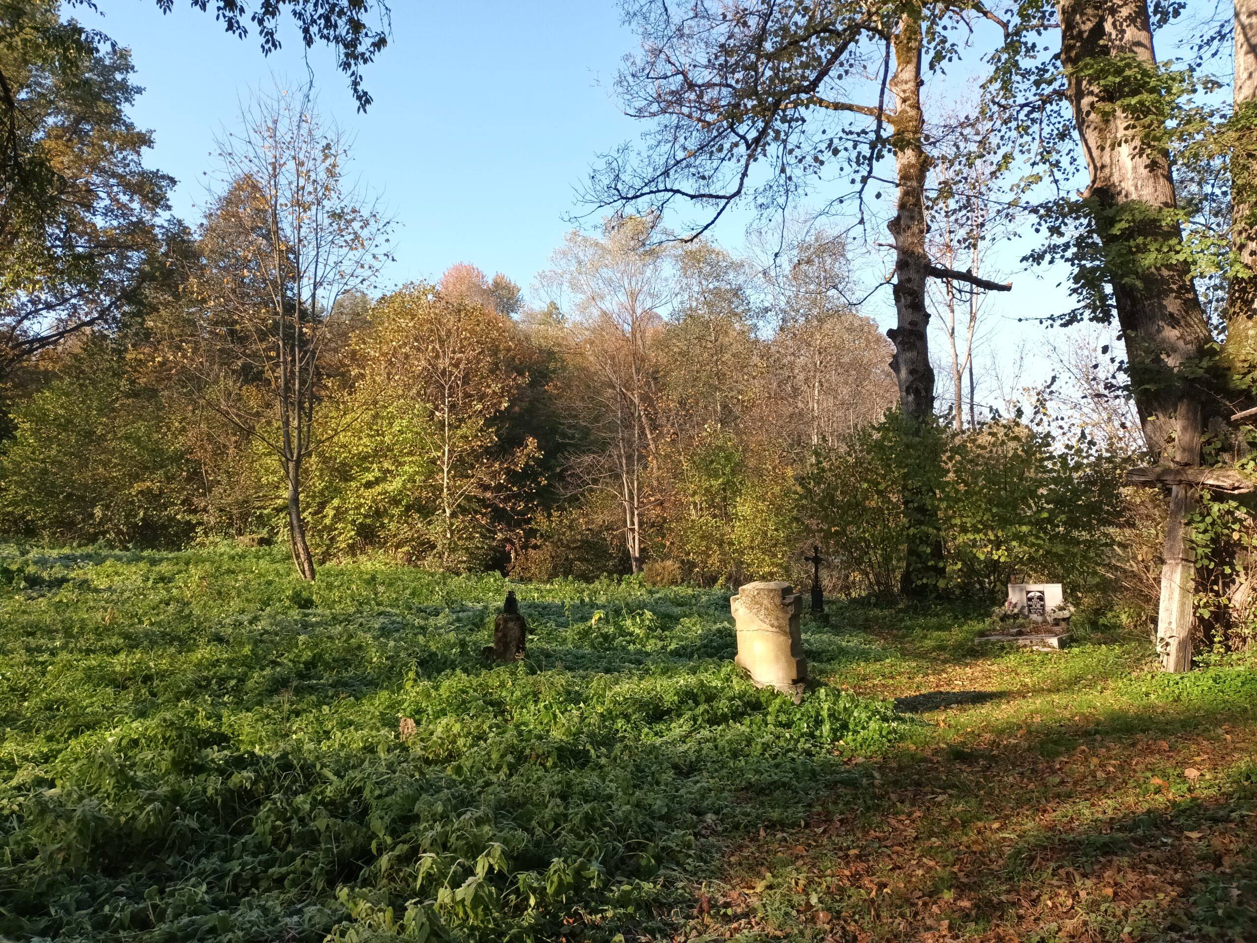 Zdjęcie: fragmenty pomników nagrobnych i drzewa