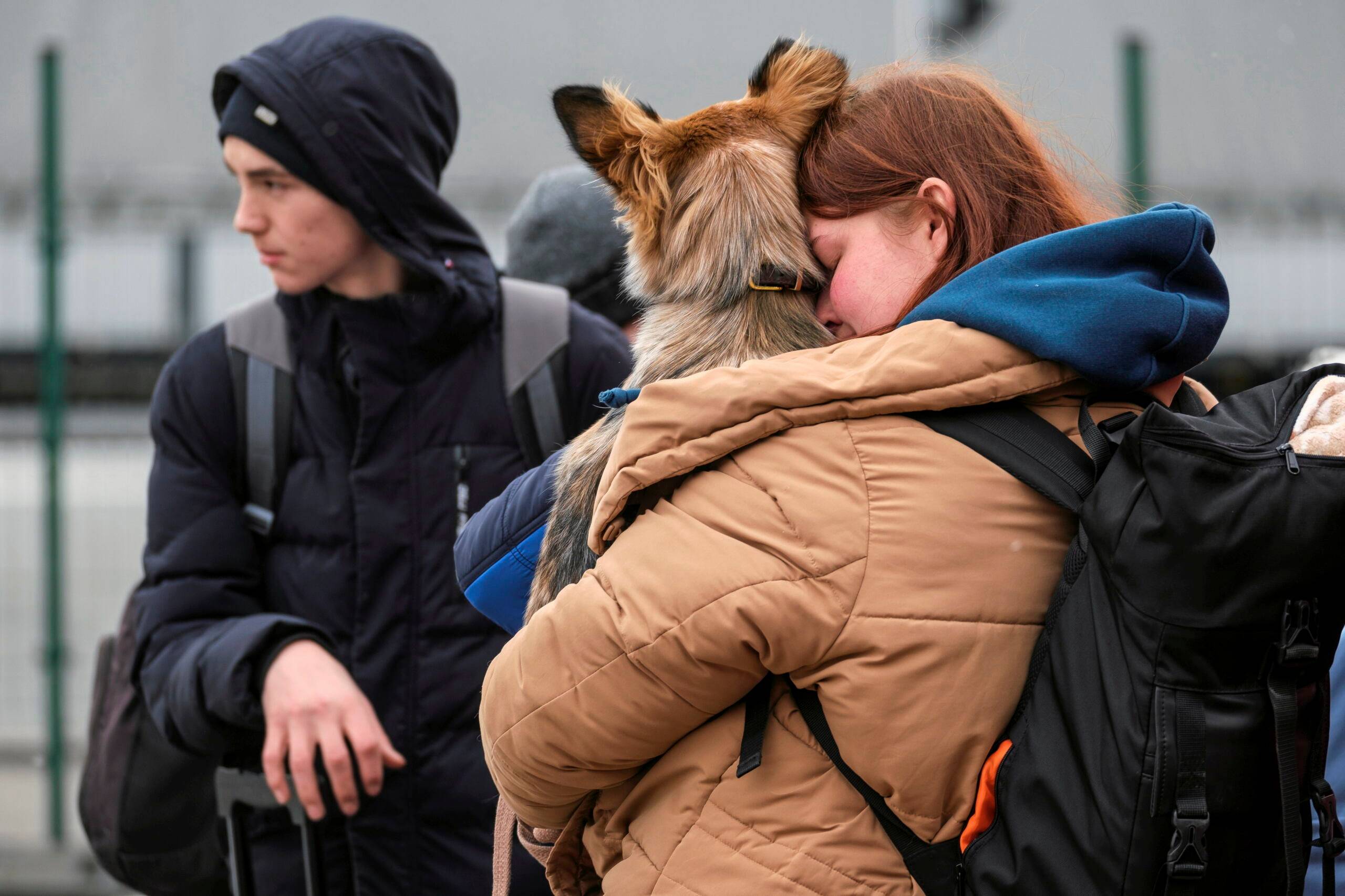 pies na granicy w ramionach uchodźczyni