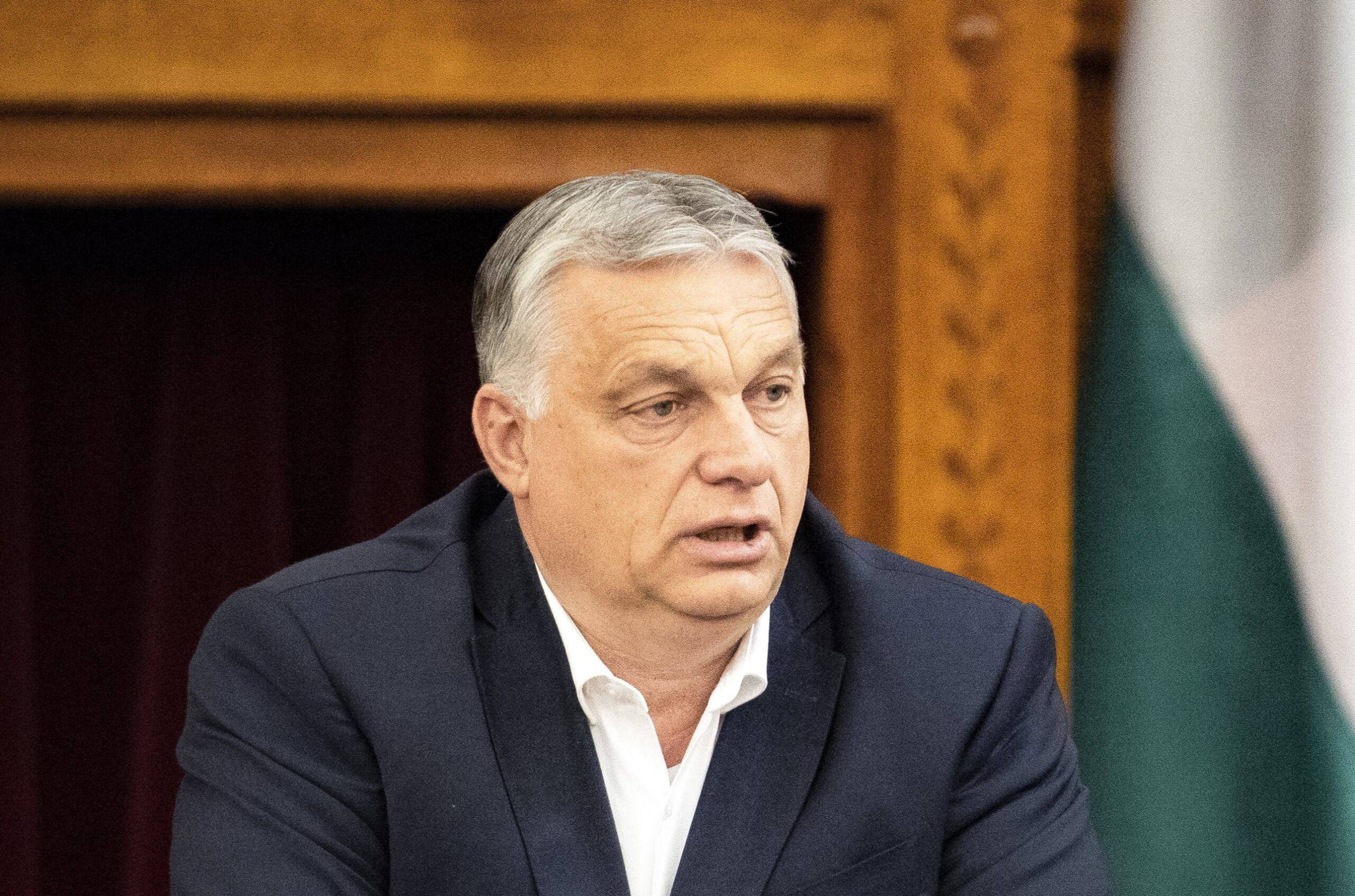 Grafika do artykułu Orbán o rasie Węgrów i obronie jej czystości. Co na to nauka? [WYWIAD]