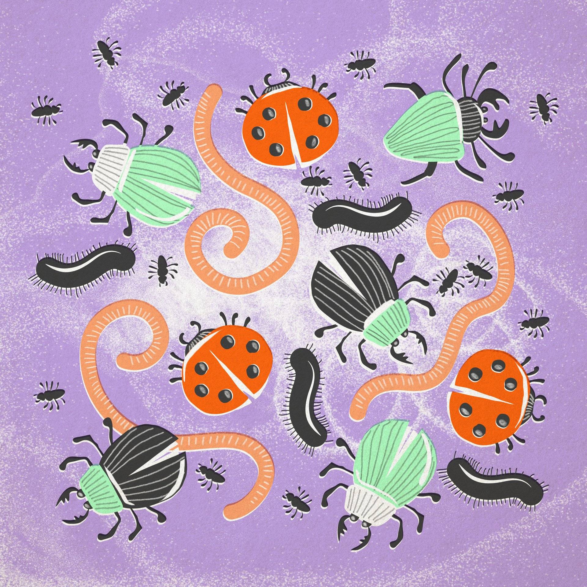 Ilustracja przedstawia różne kolorowe insekty i robaki