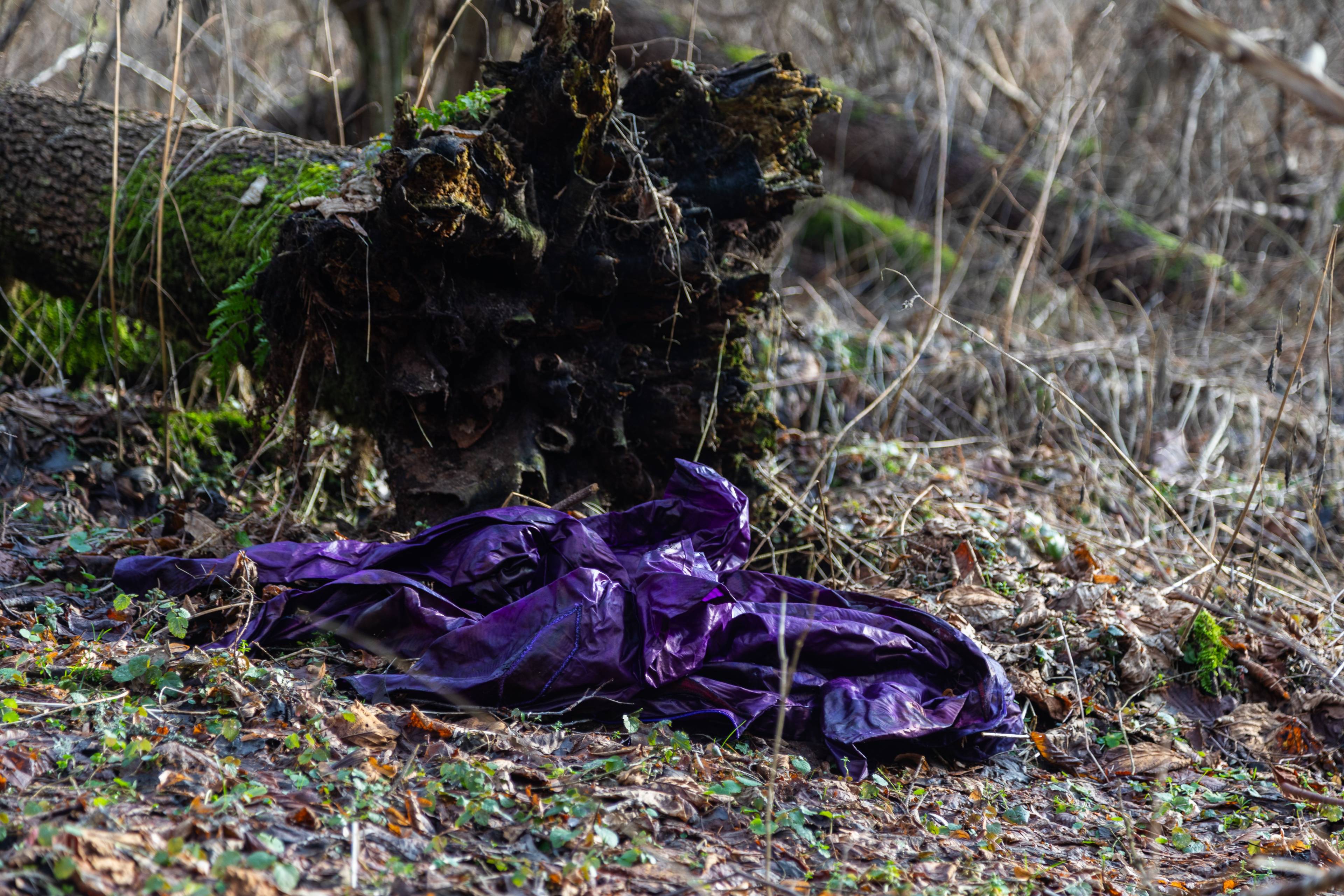 fioletowy śpiwór w lesie