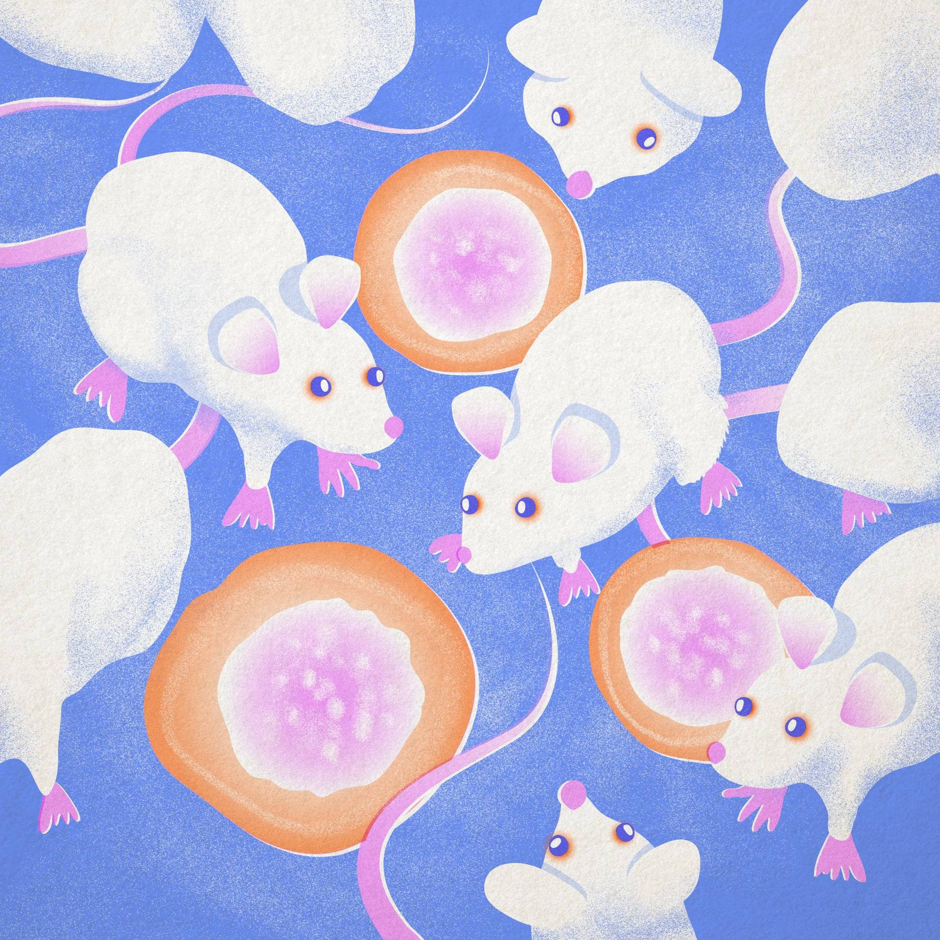 Ilustracja, białe myszy i czerwone komórki