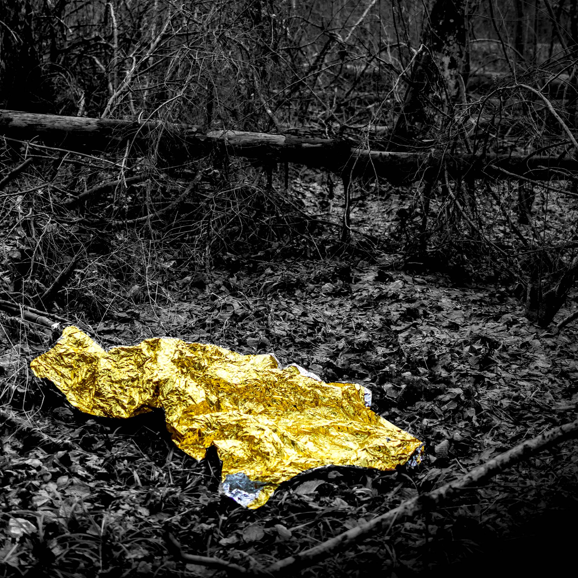 Na pierwszym planie pognieciony złoty koc termiczny, w tle fragment lasu.