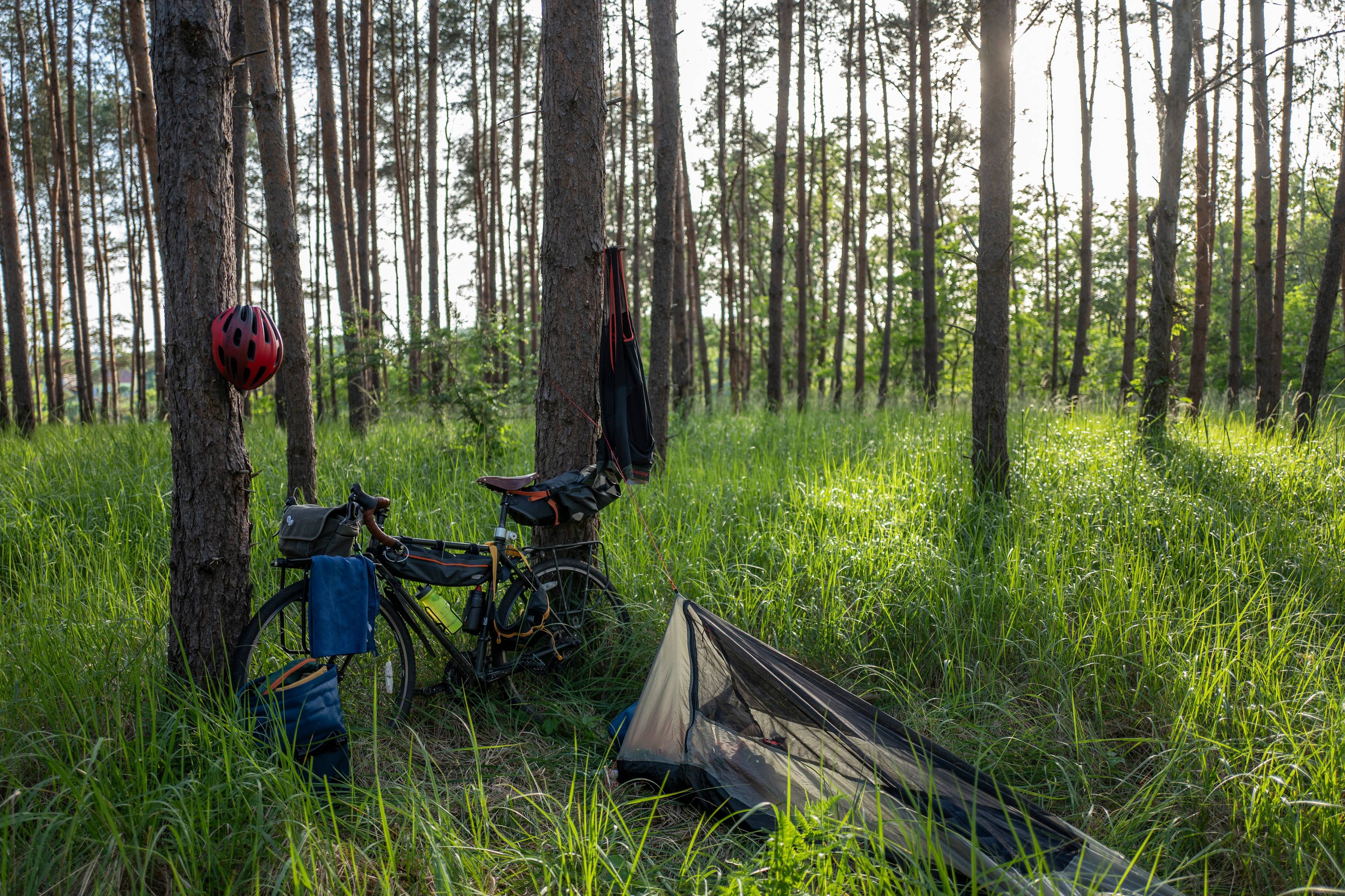 leśny biwak: pod drzewem stoi rower gravel z sakwami, na drzewie suszą się spodnie rowerowe, a w trawie leży mały namiot.