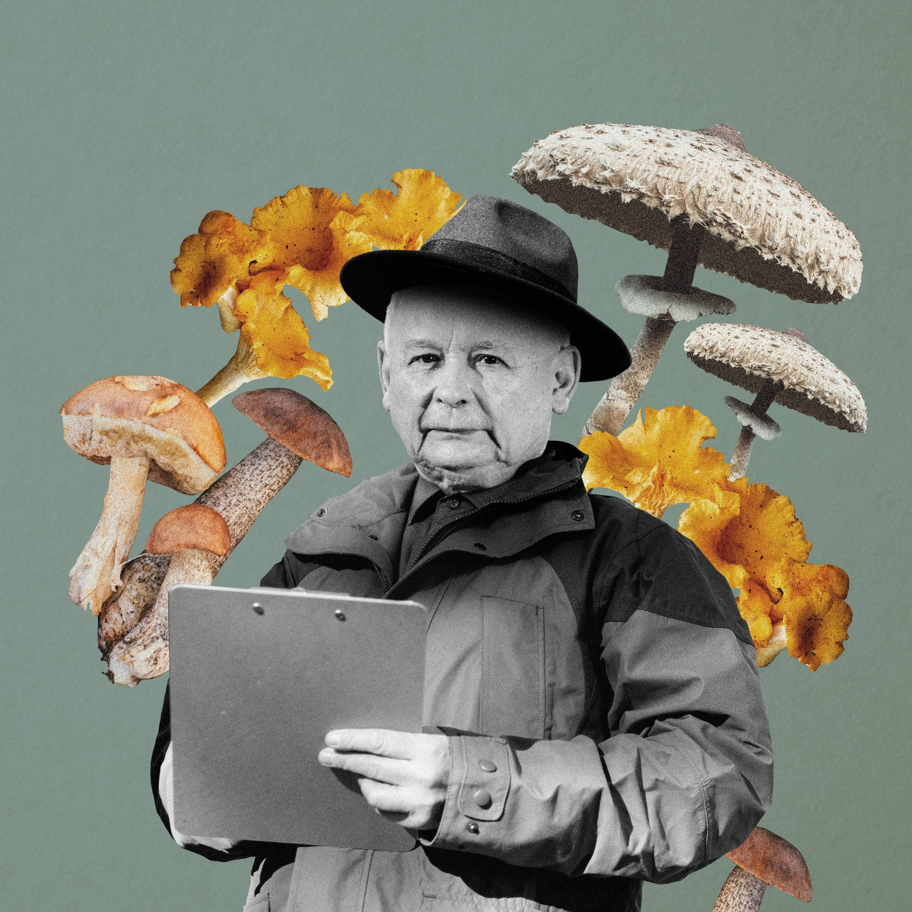 Jarosław Kaczyński w kapeluszu, w tle różne rodzaje grzybów