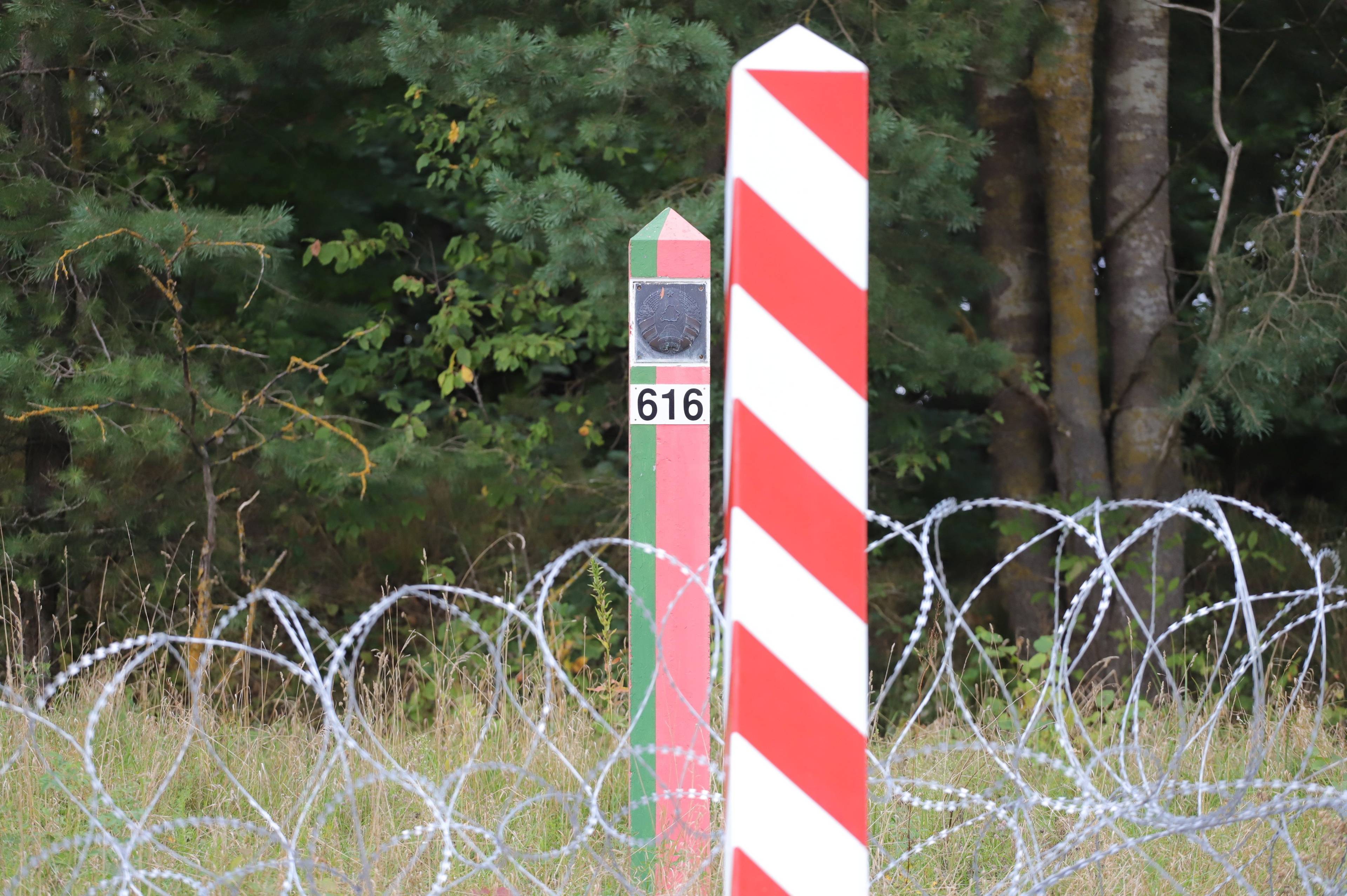 Druk kolczasty przy dwóch słupach granicznych - polskim i białoruskim
