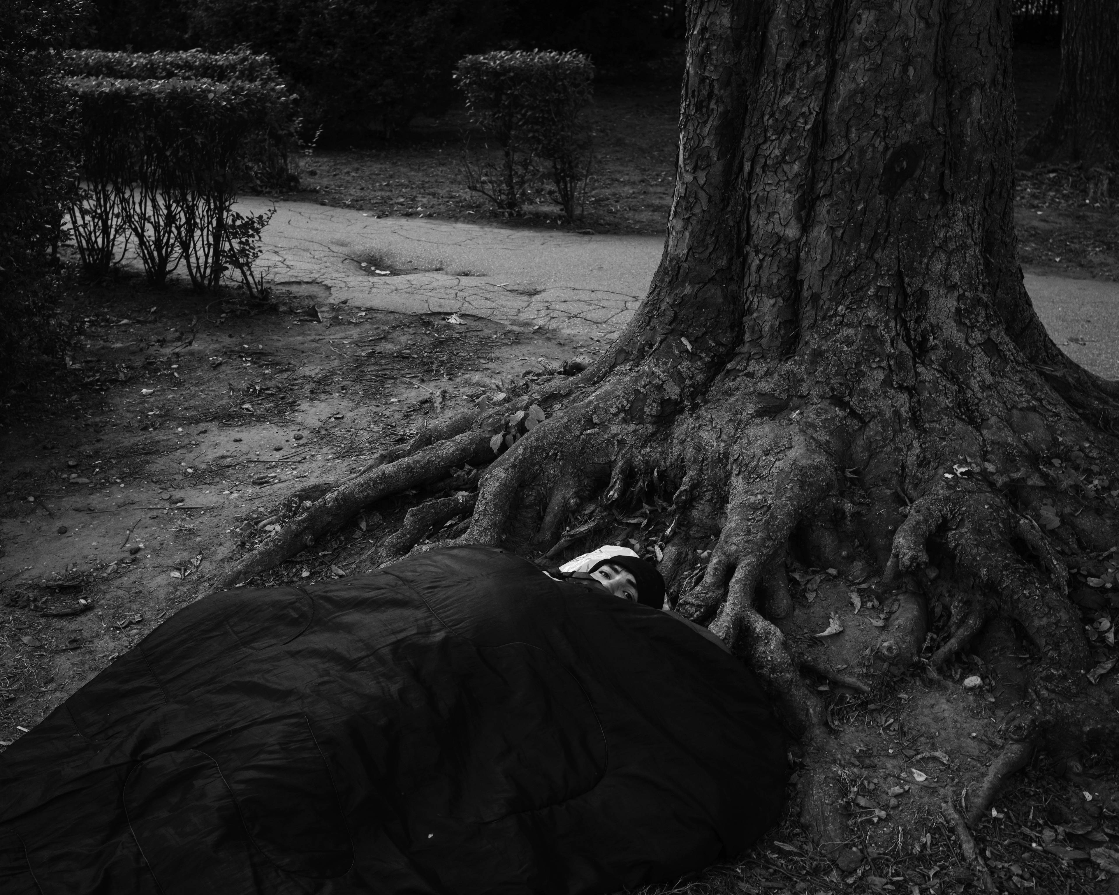 chłopak w śpiworze leży pod drzewem, cała postać jest przykryta, widać tylko oczy