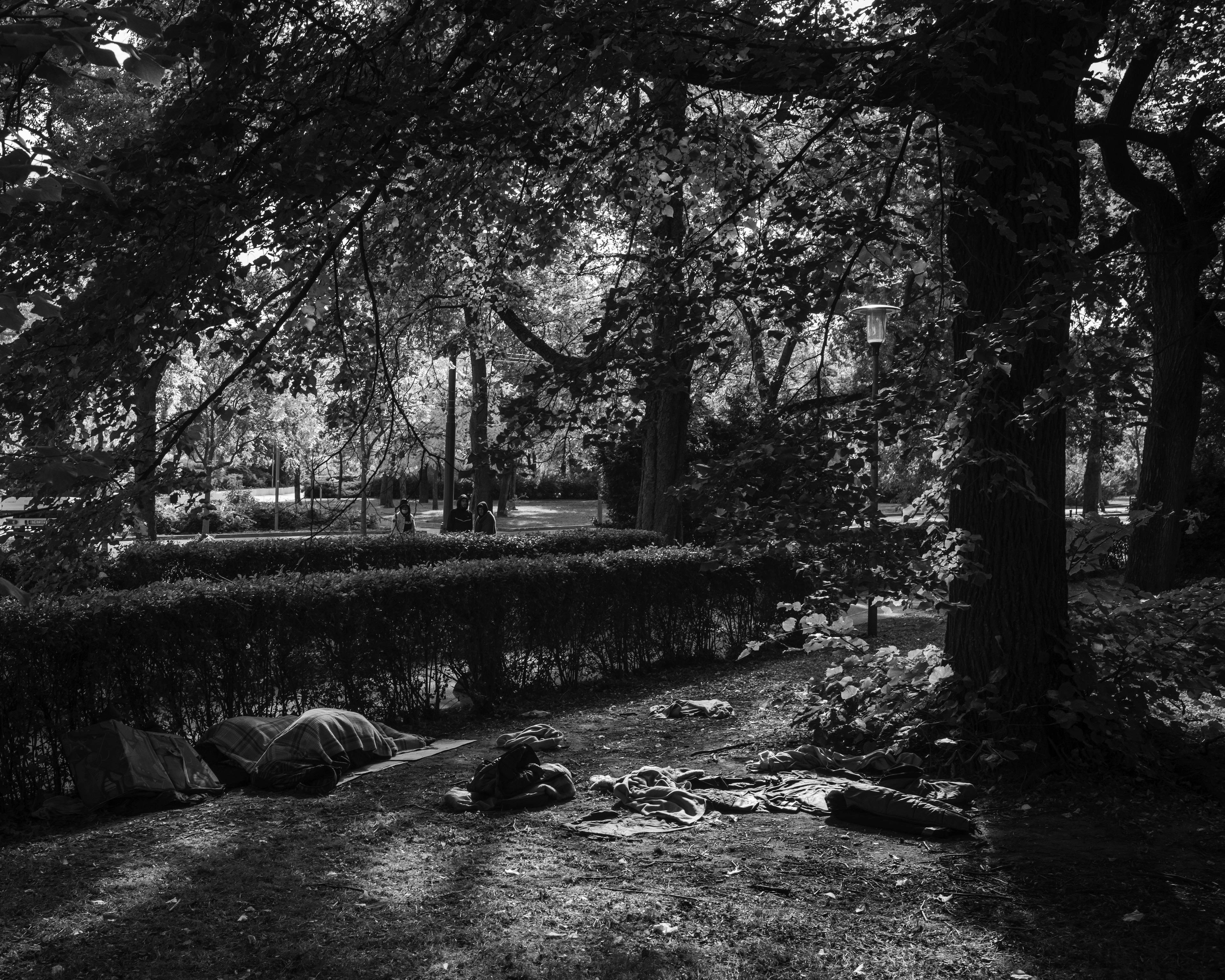 park, na trawie leżą ludzie przykryci szczelnie kocami i śpiworami, zdjęcie czarno-białe