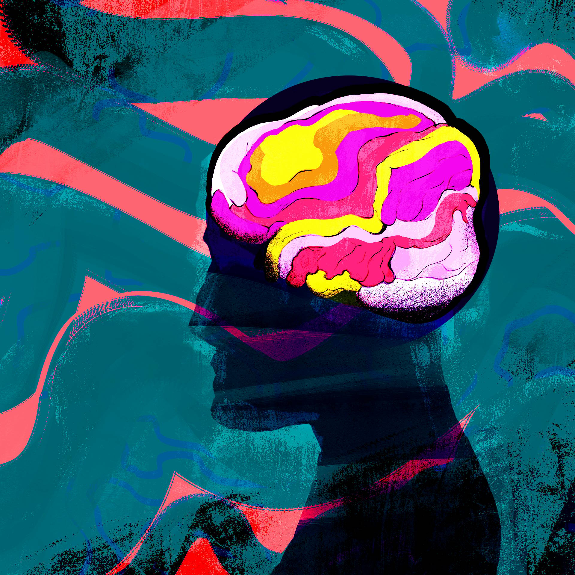 Rysnek głowy z ujawnionym kolorowym zarysem mózgu