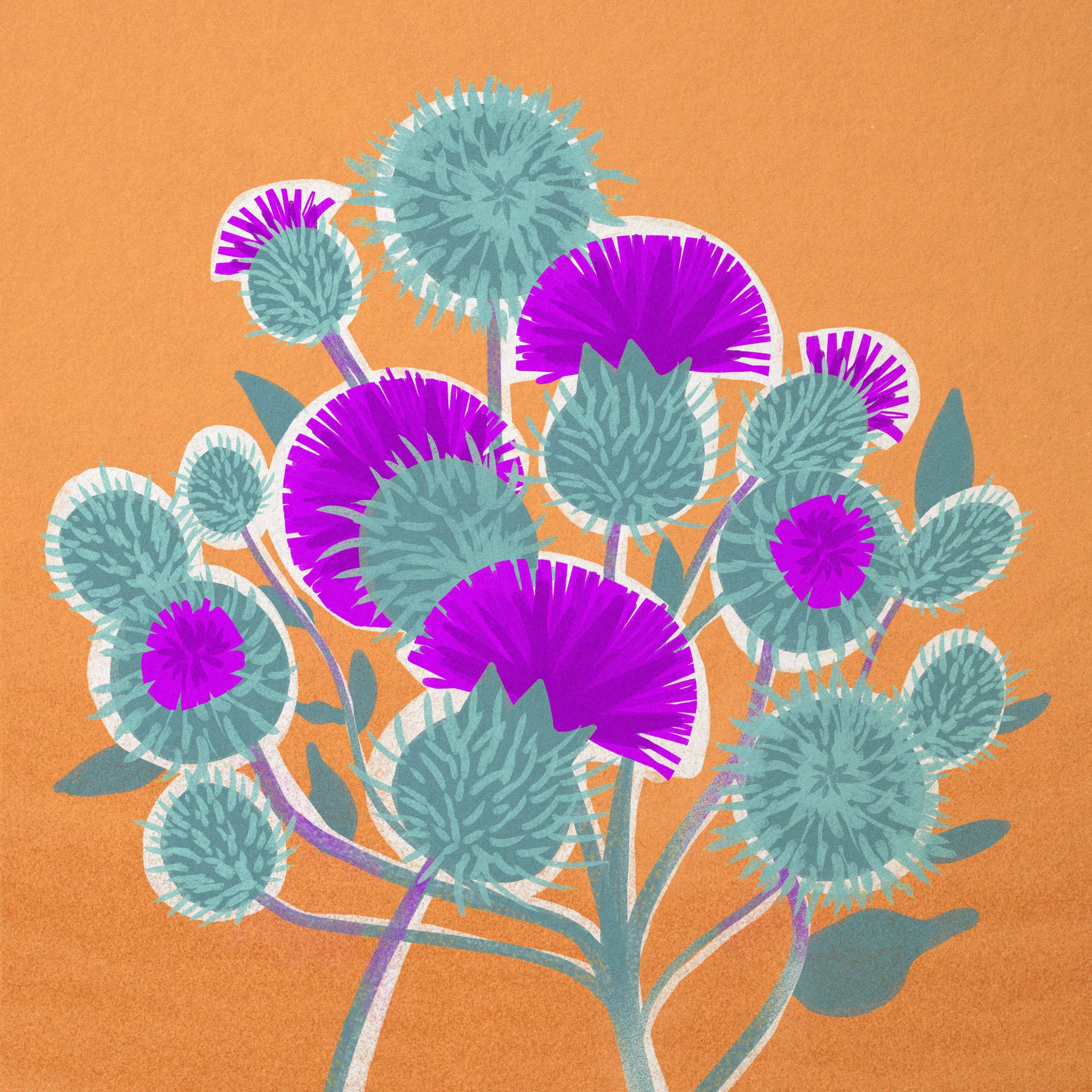 Ilustracja przedstawiająca kwiaty łopianu
