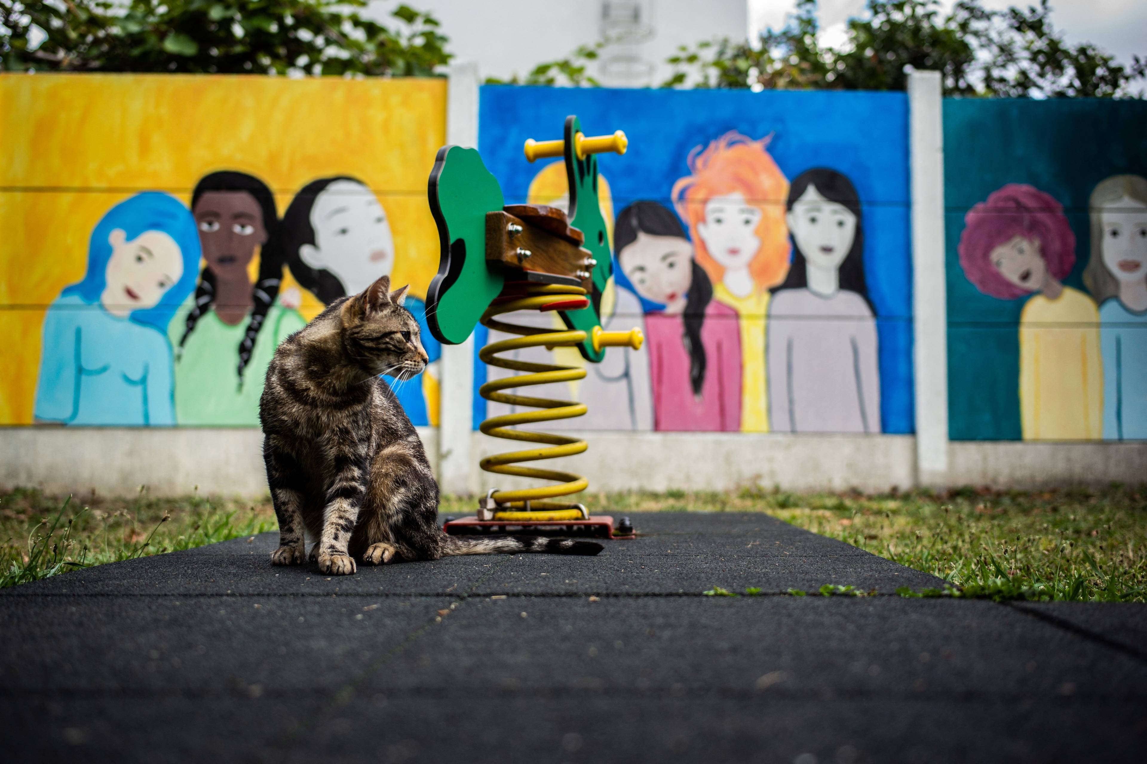 Plac zabaw z pręgowanym kotem na pierwszym planie, w tle płot z kolorowym muralem przedstawiającym kobiety różnych ras. Dyrektywa antyprzemocowa